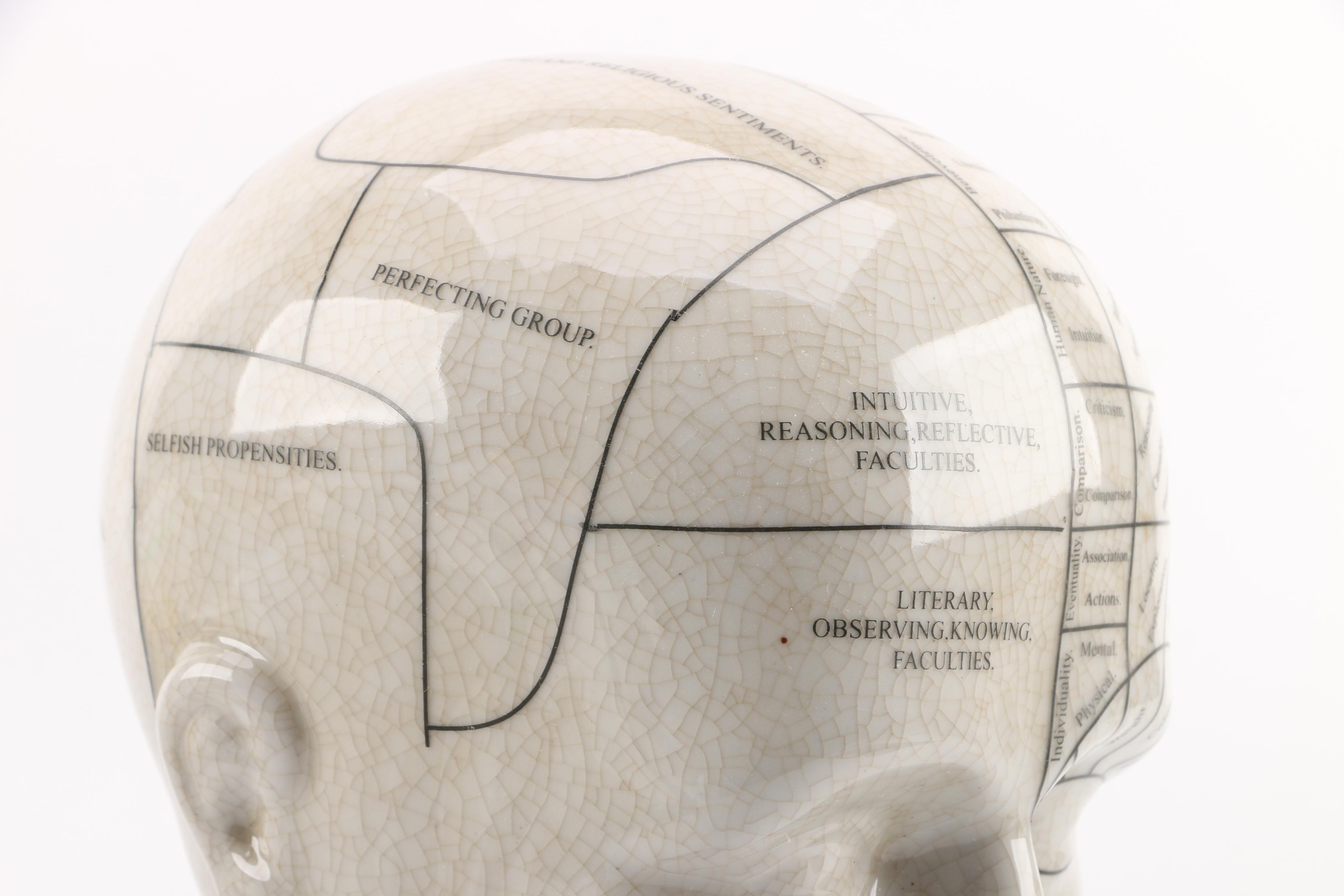 L.N. Fowler Style Ceramic Phrenology Bust