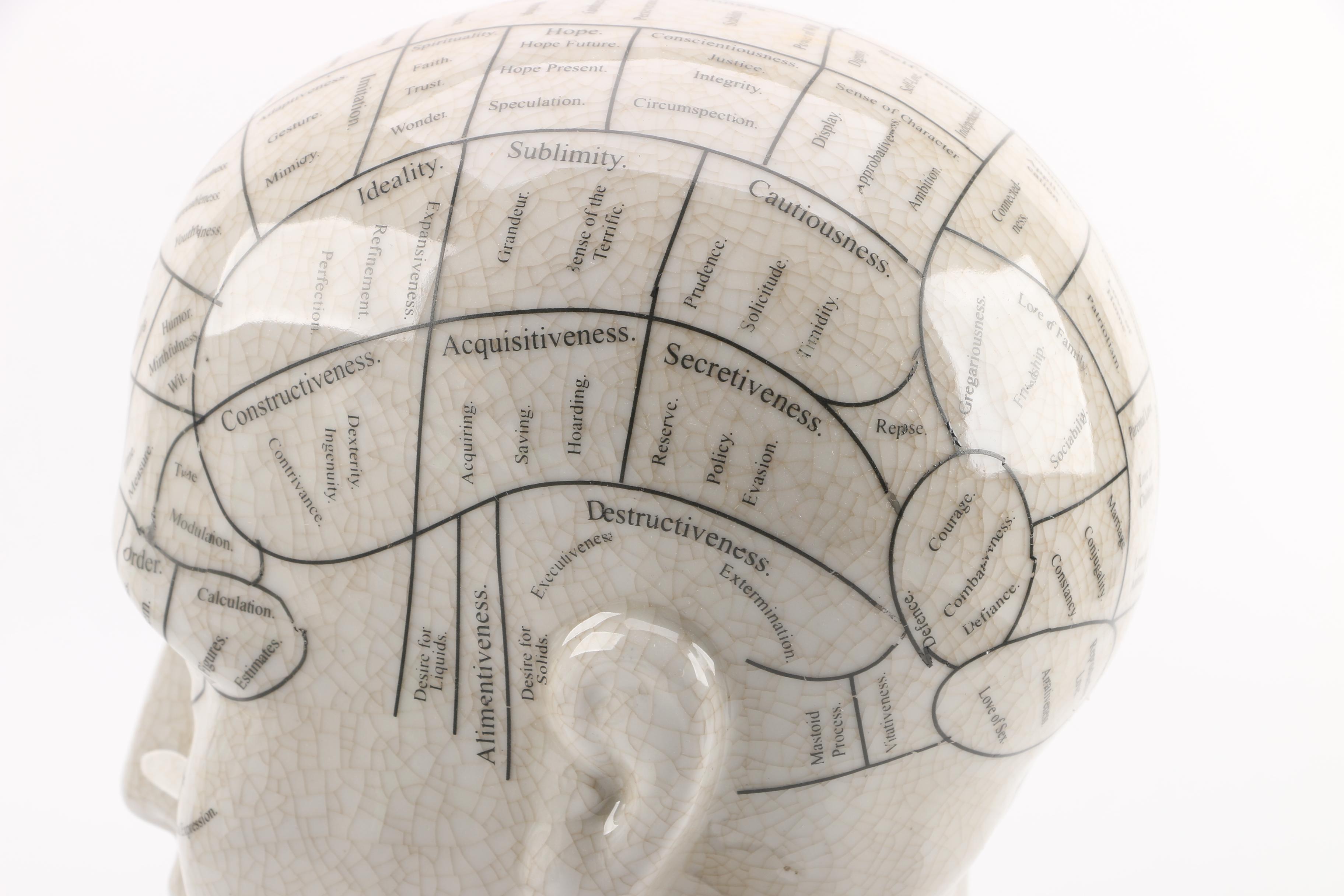 L.N. Fowler Style Ceramic Phrenology Bust