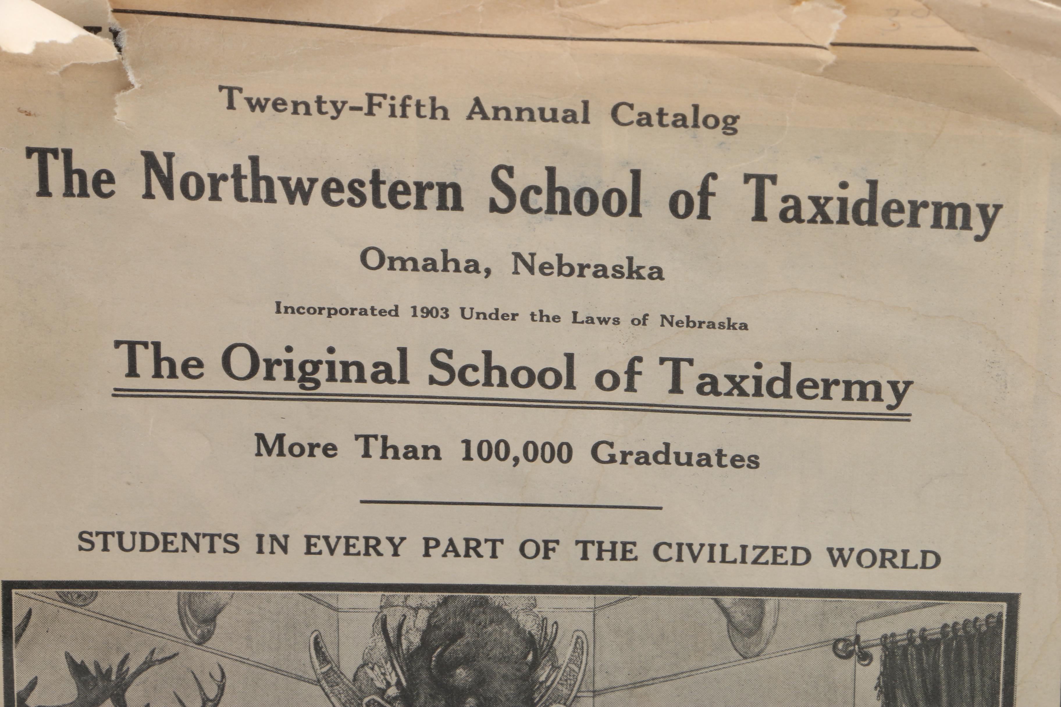 Assorted Books including Art and Historical Fiction