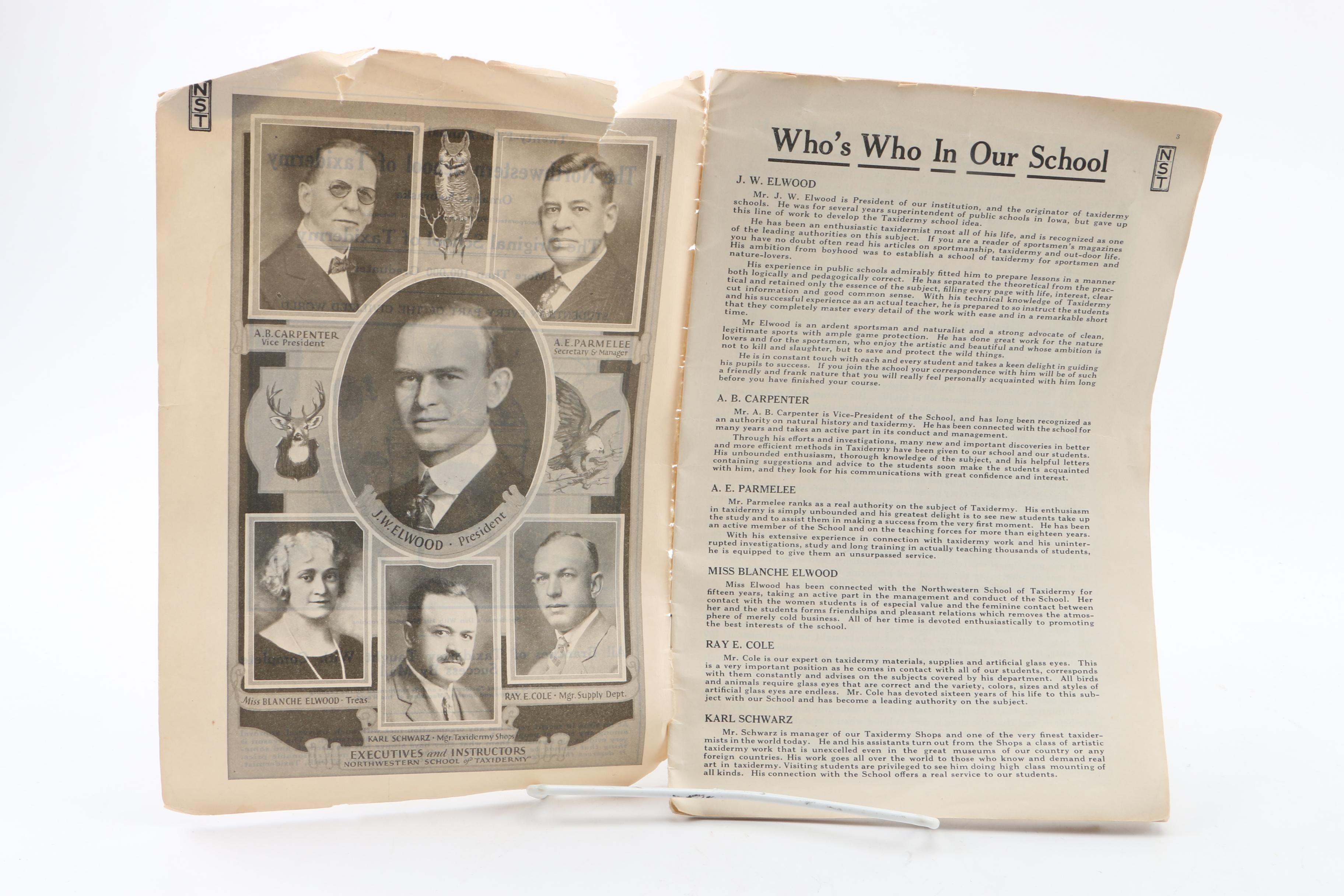 Assorted Books including Art and Historical Fiction