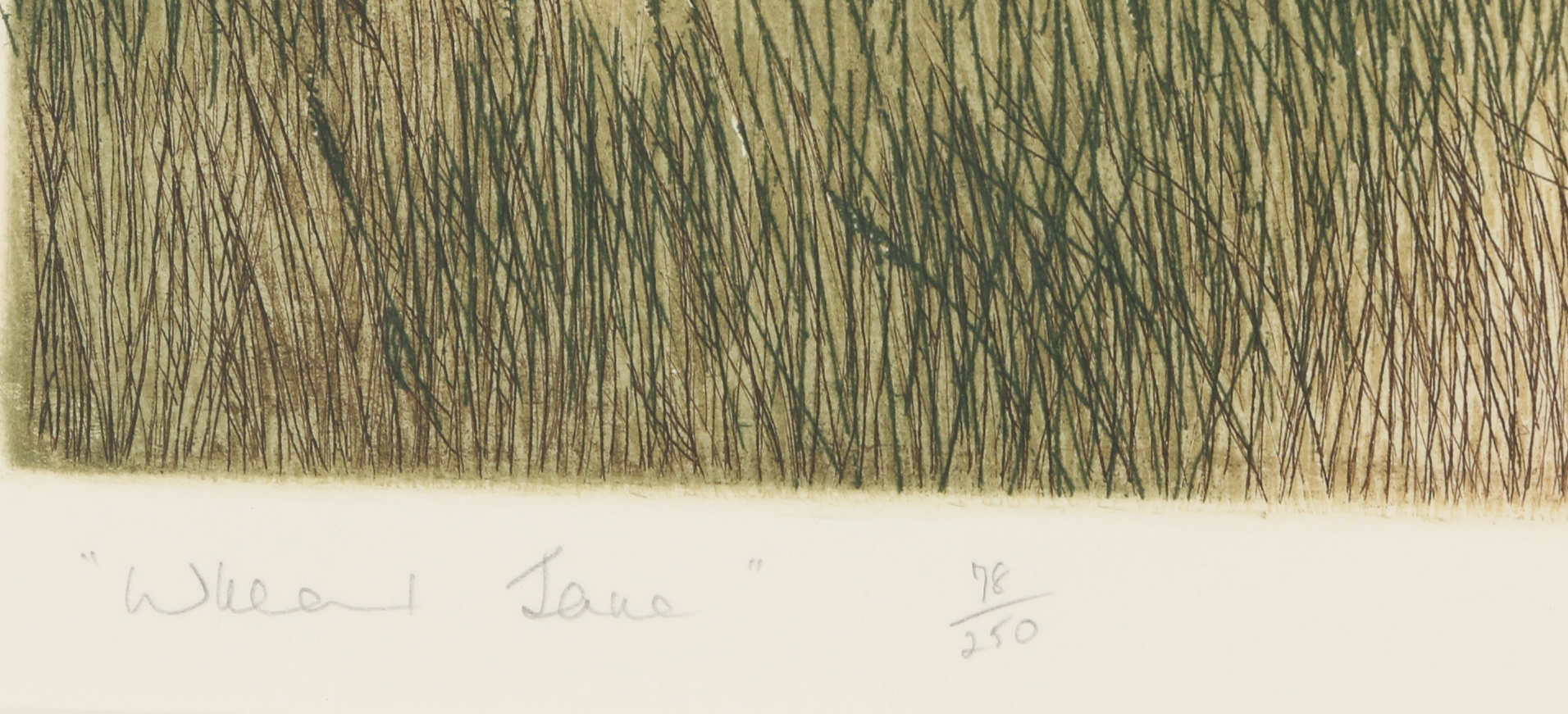 Ashley D. Bolch Limited Edition Etching "Wheal Jane"