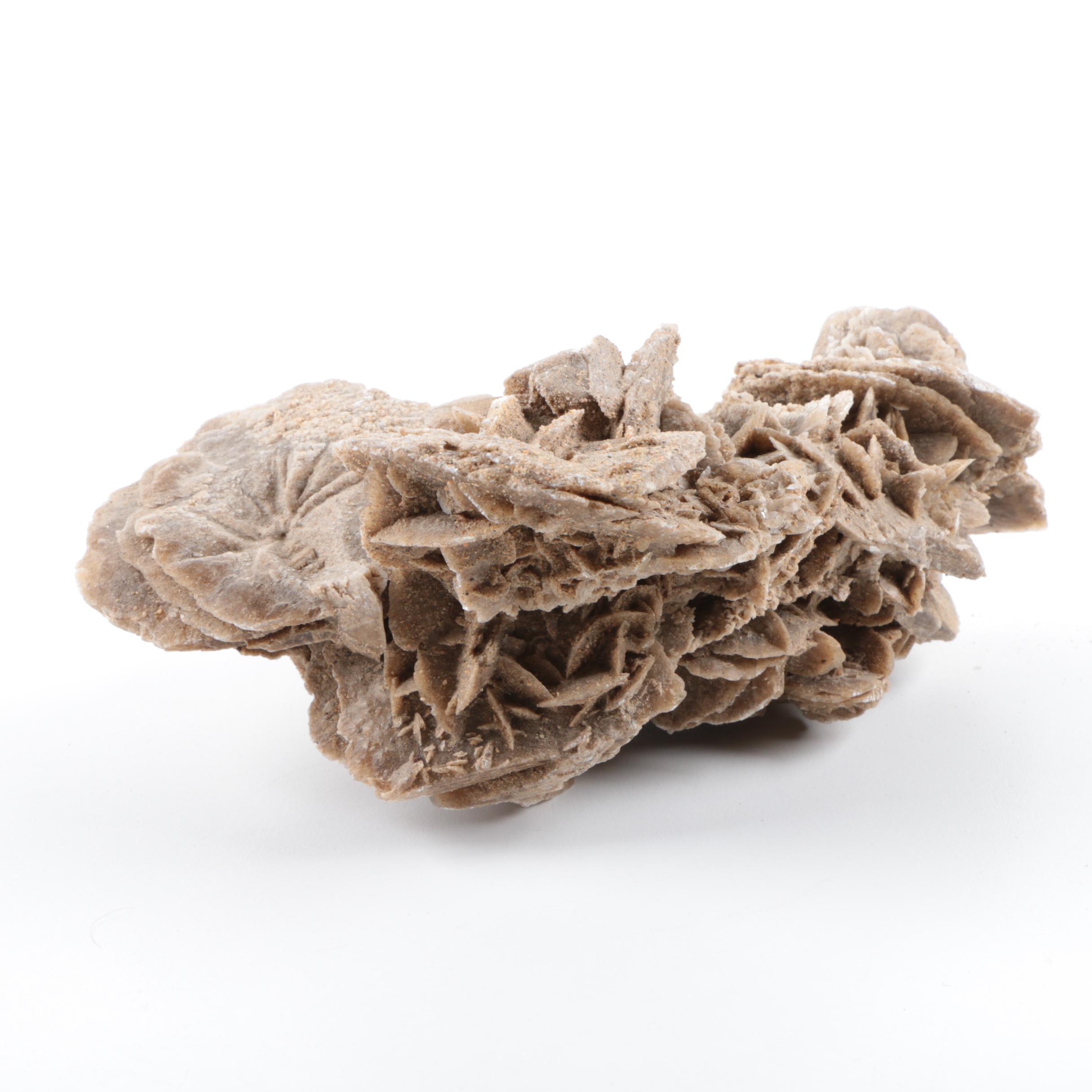 Gypsum Desert Rose Specimen