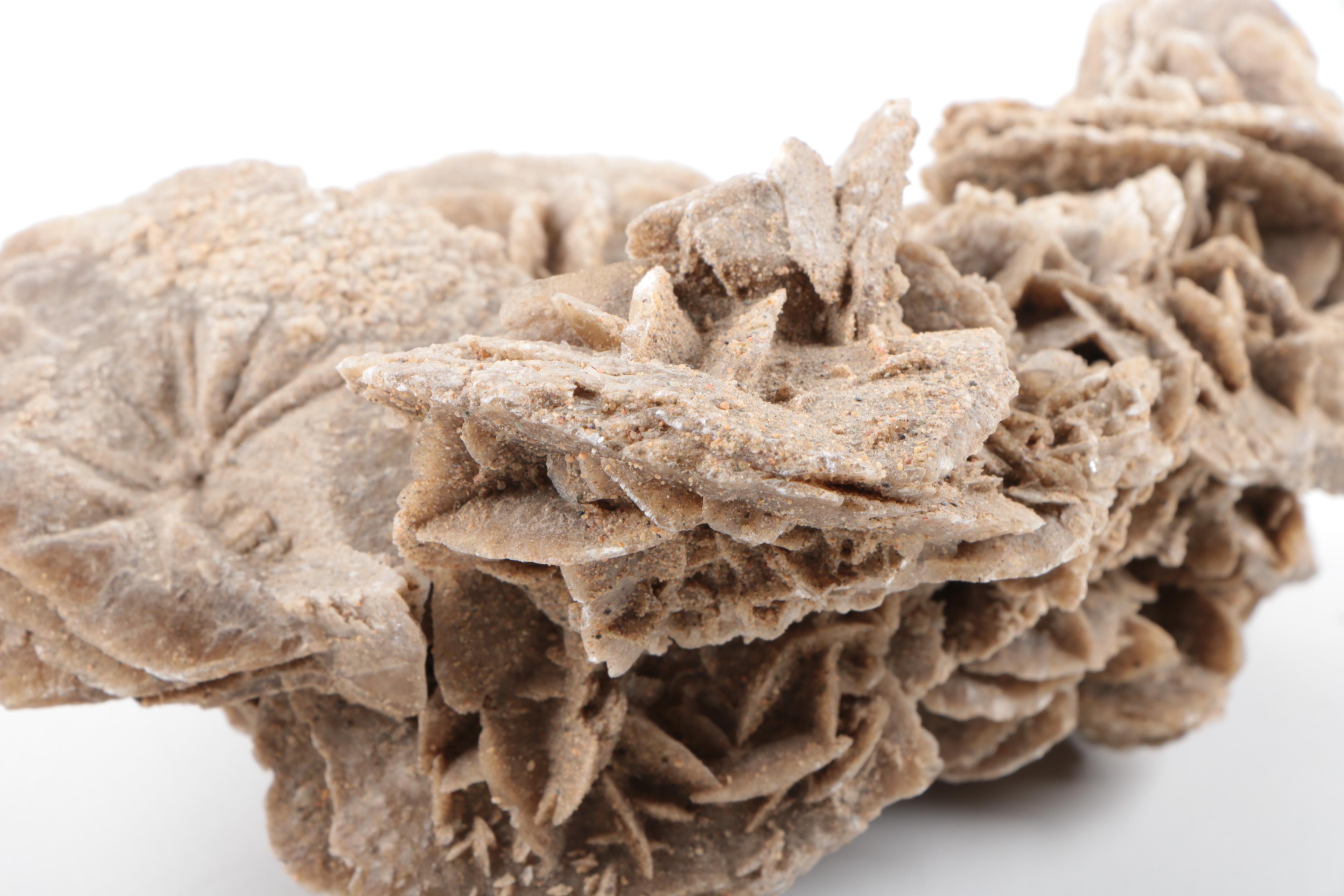 Gypsum Desert Rose Specimen