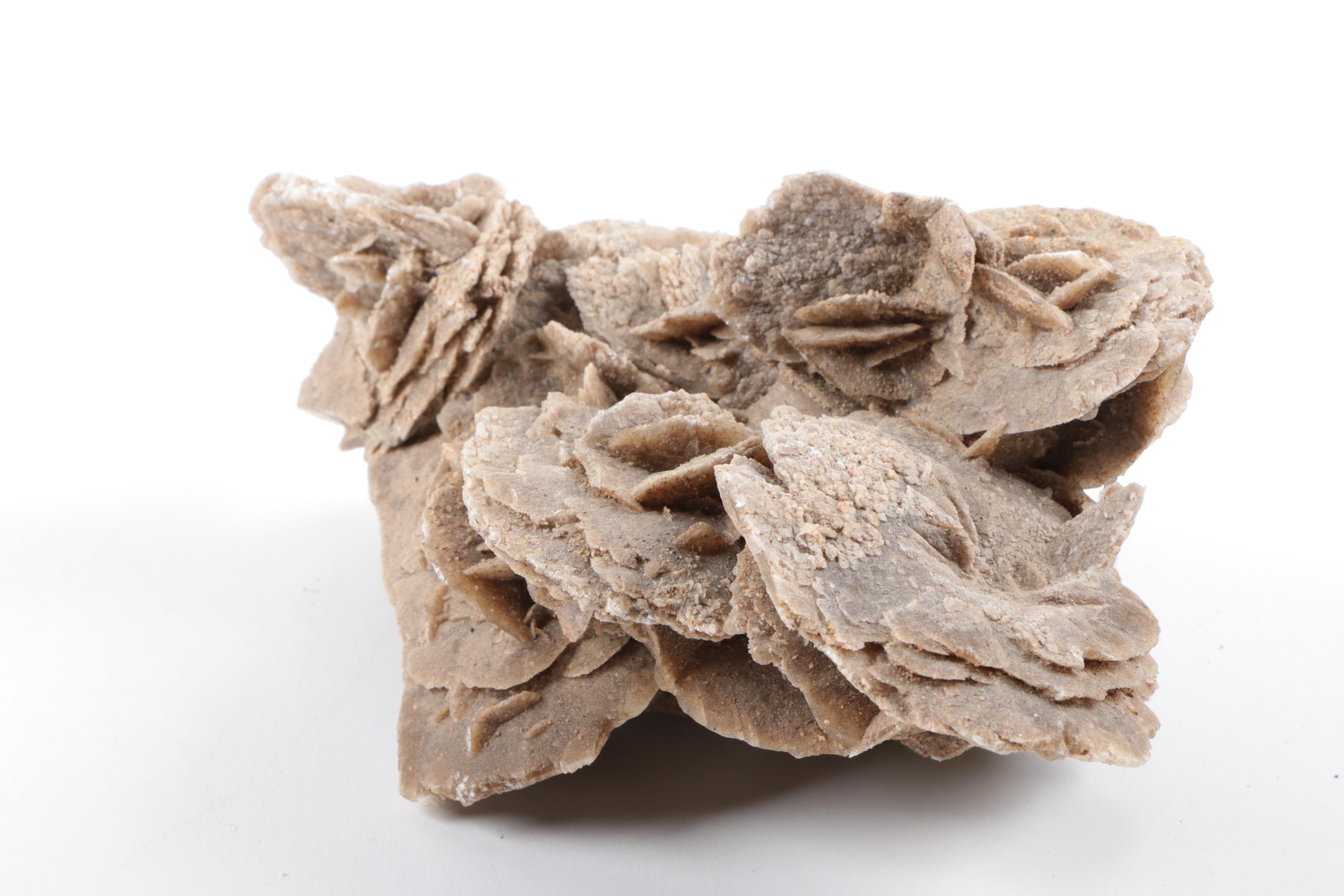 Gypsum Desert Rose Specimen