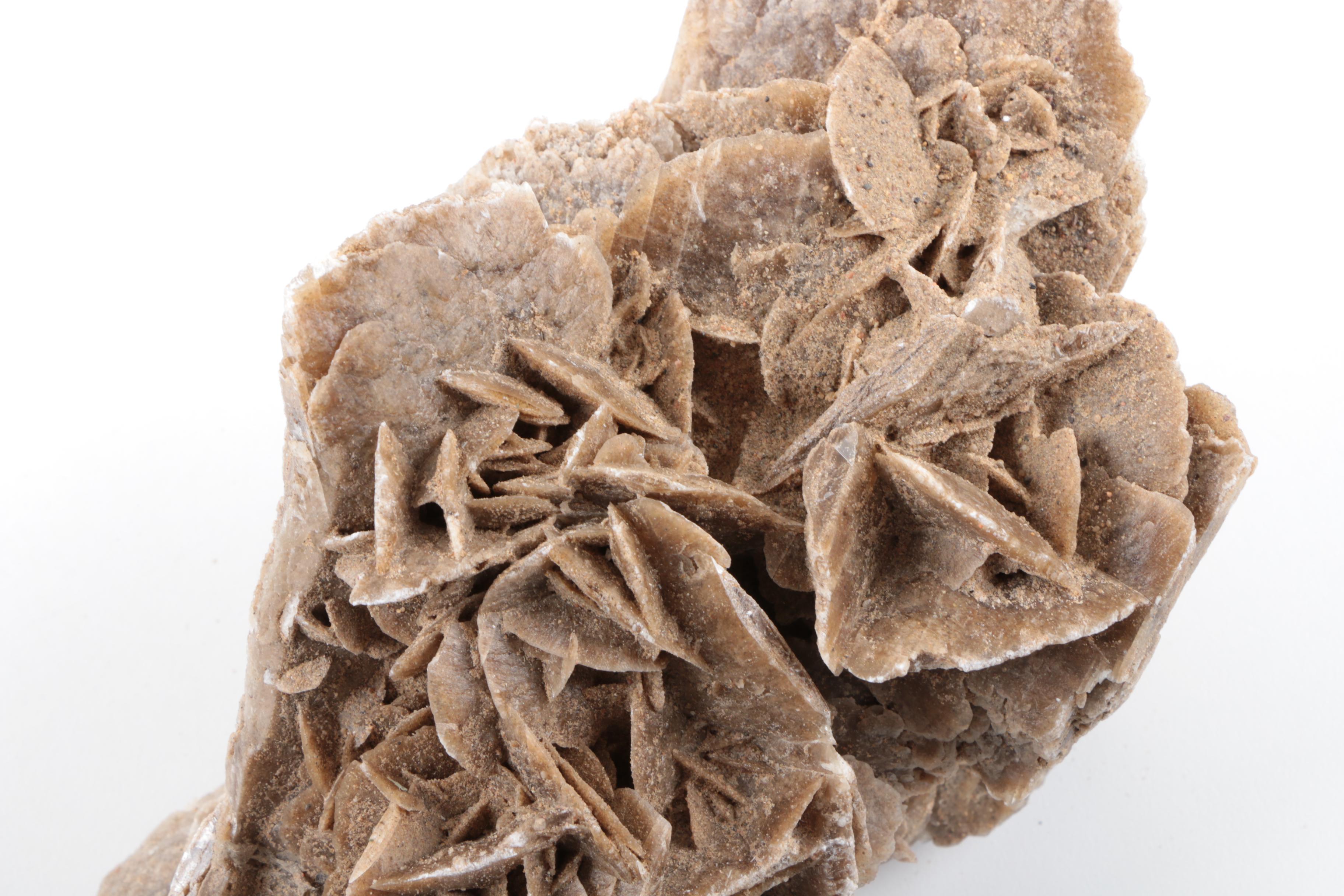 Gypsum Desert Rose Specimen