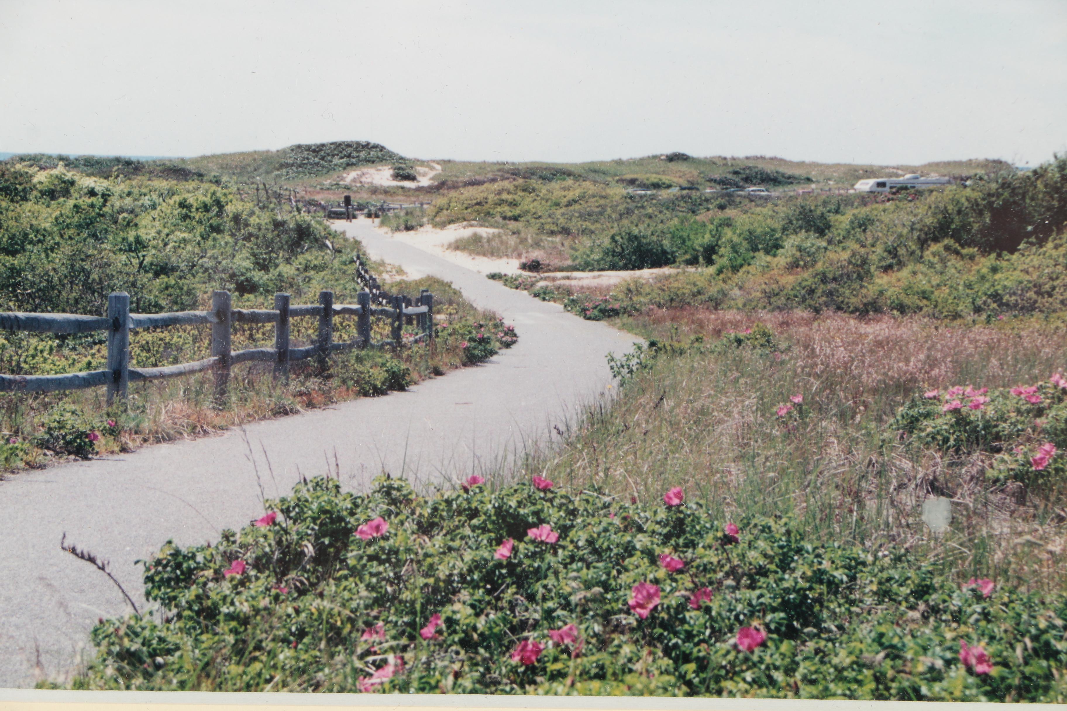 Tom Johnson Photographs of Provincetown