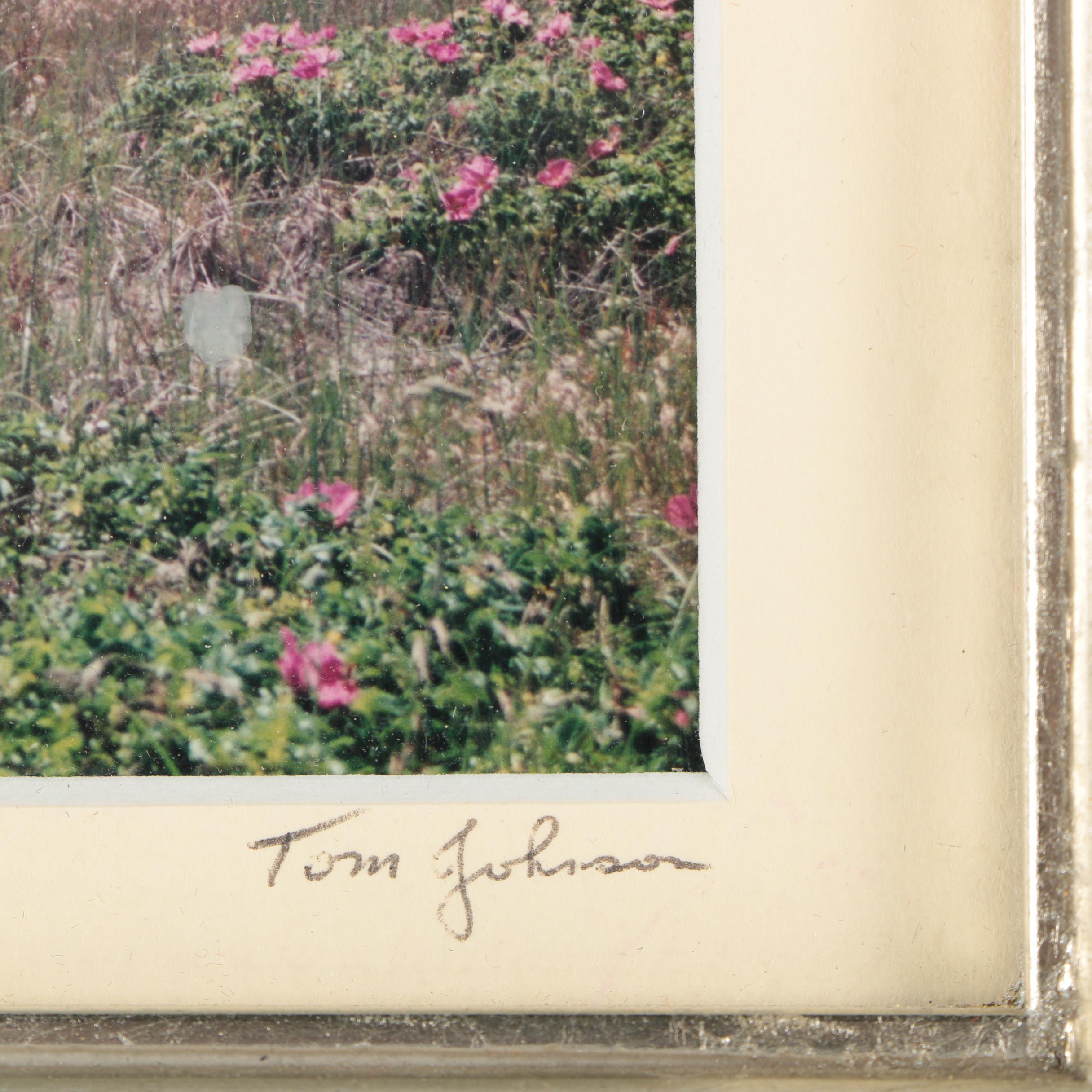 Tom Johnson Photographs of Provincetown