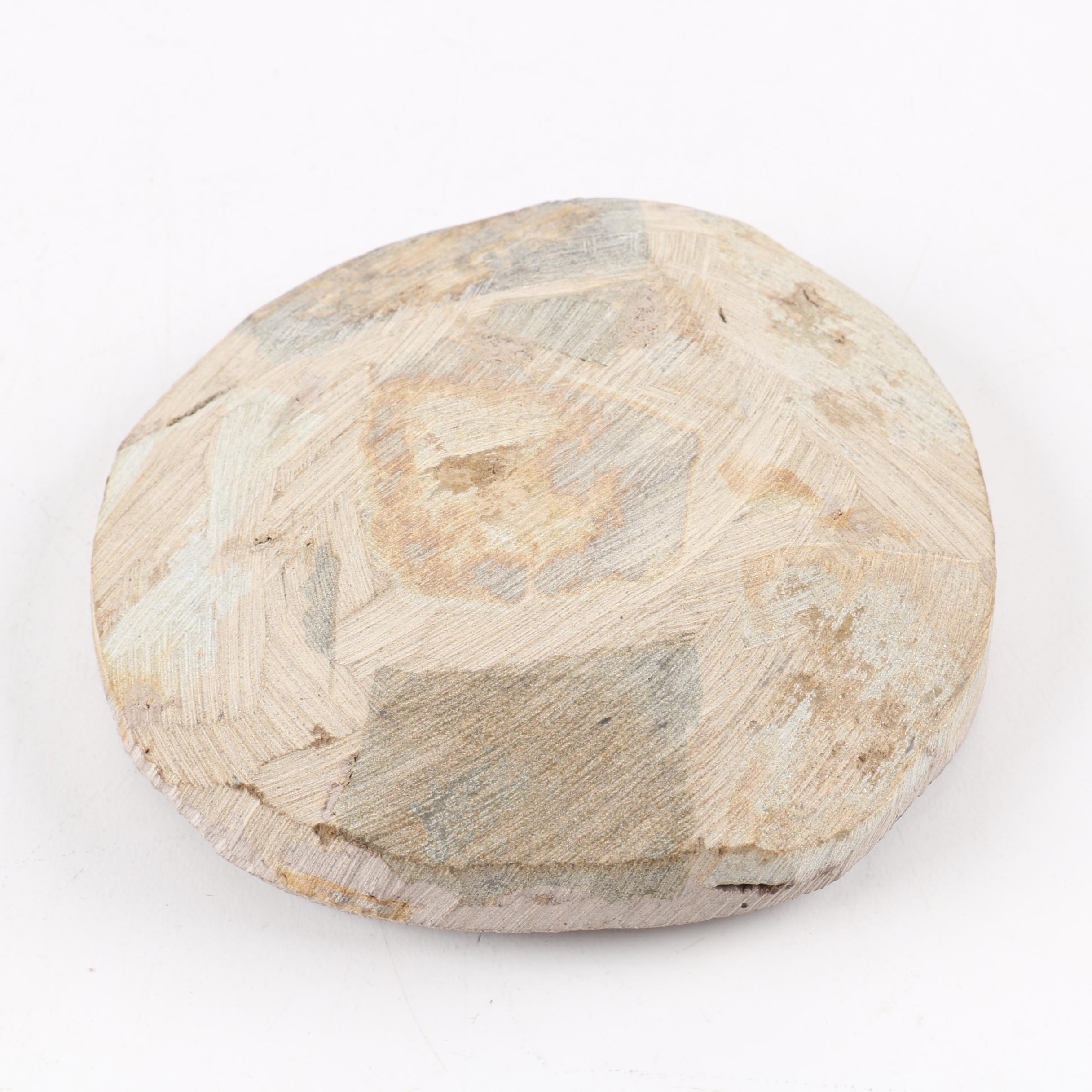 Composite "Dicranurus Monstrosus" Trilobite Specimen