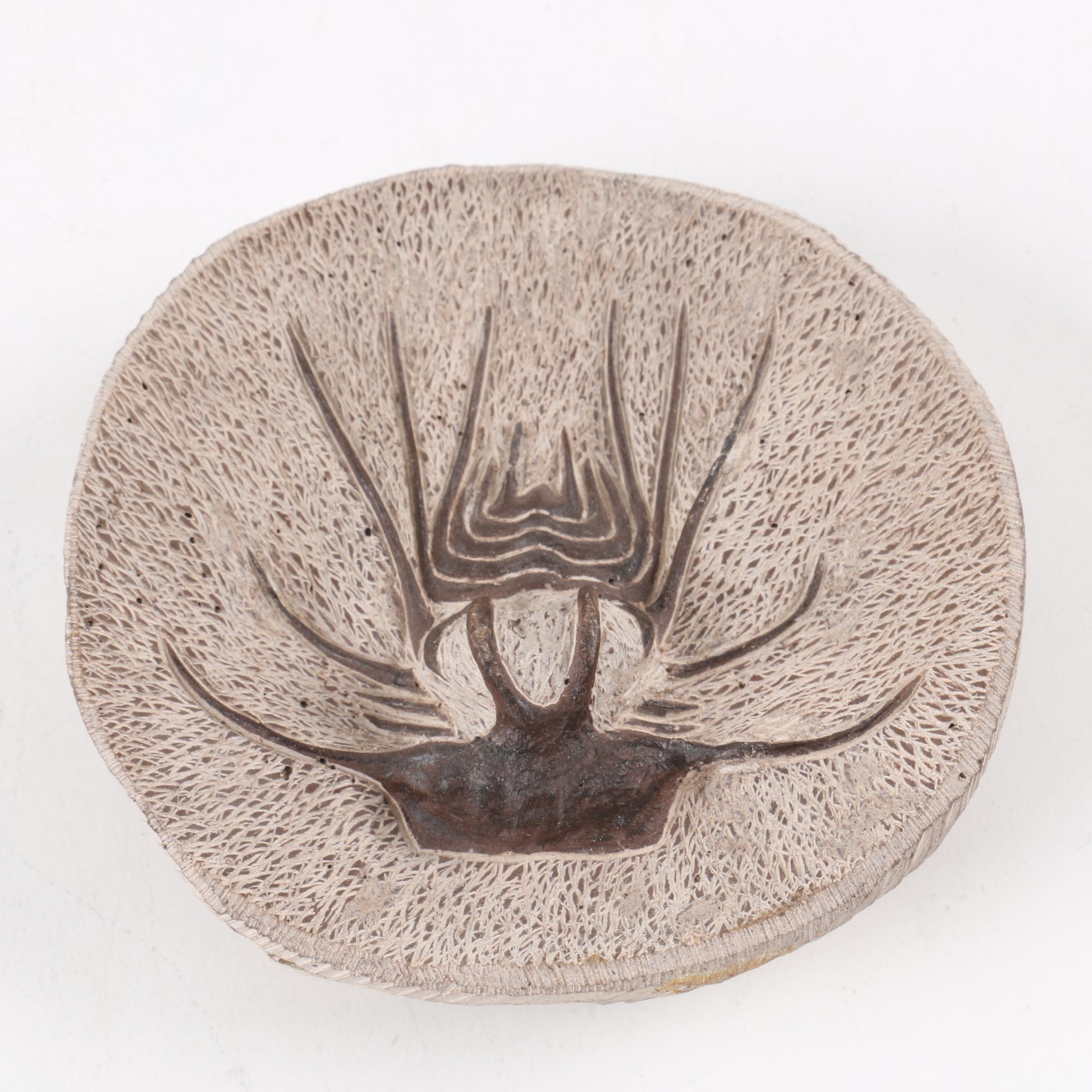 Composite "Dicranurus Monstrosus" Trilobite Specimen