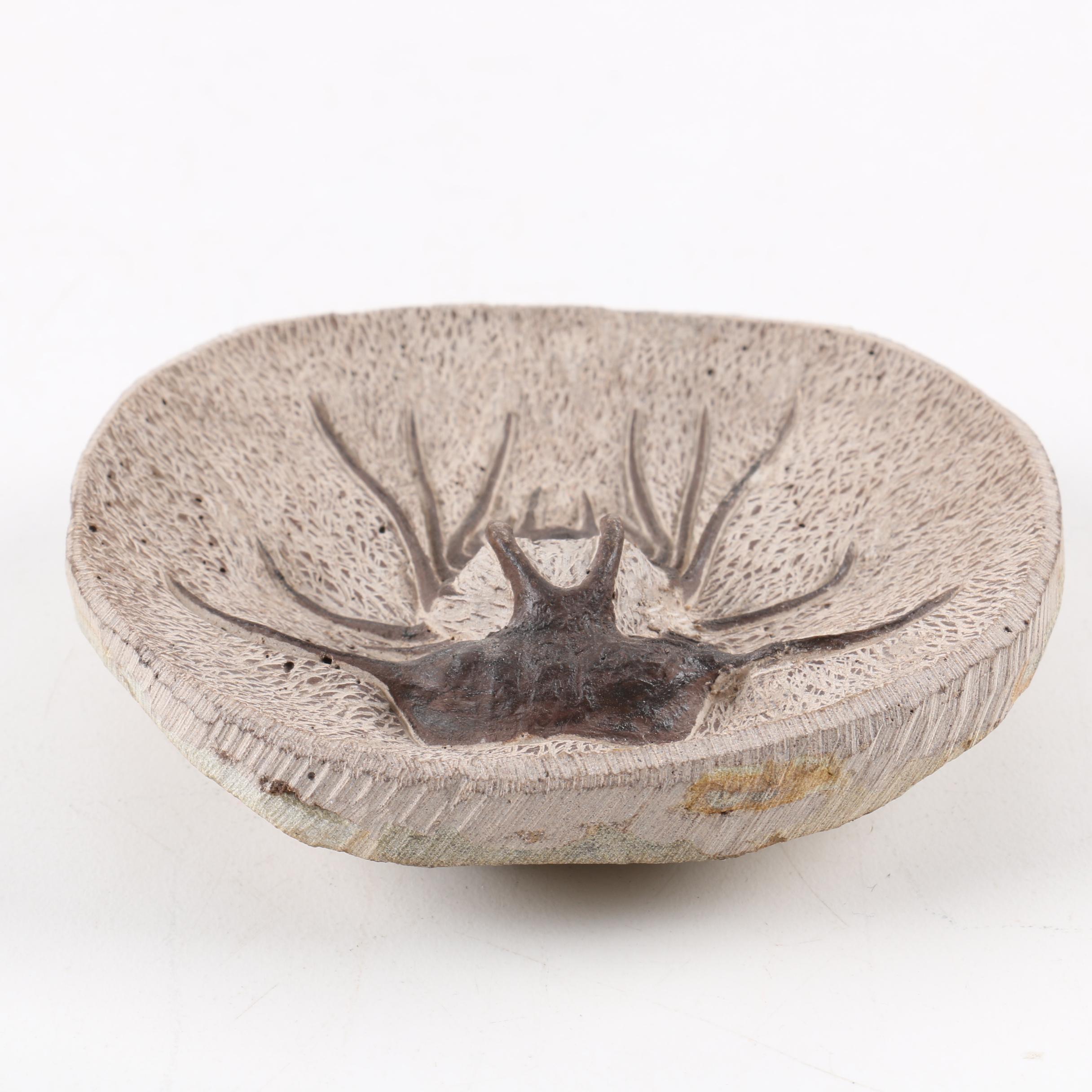 Composite "Dicranurus Monstrosus" Trilobite Specimen