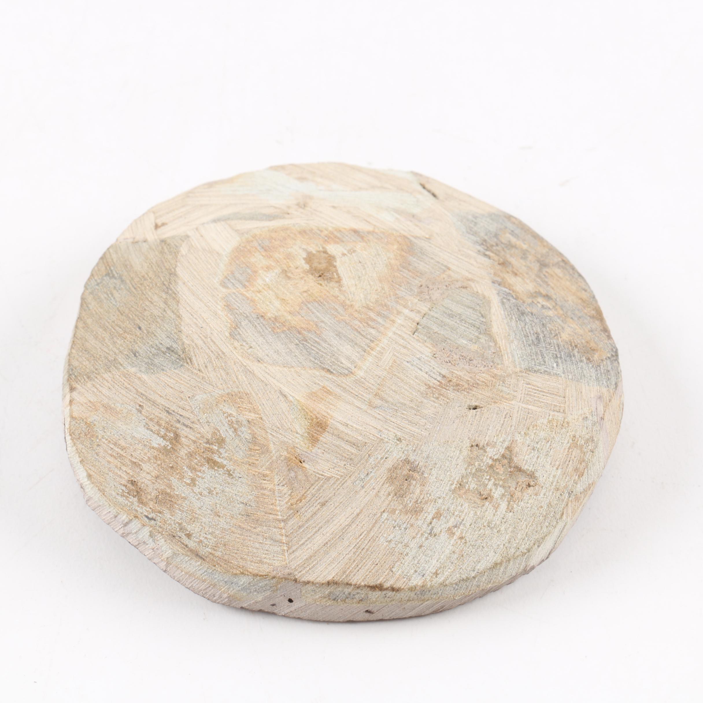 Composite "Dicranurus Monstrosus" Trilobite Specimen