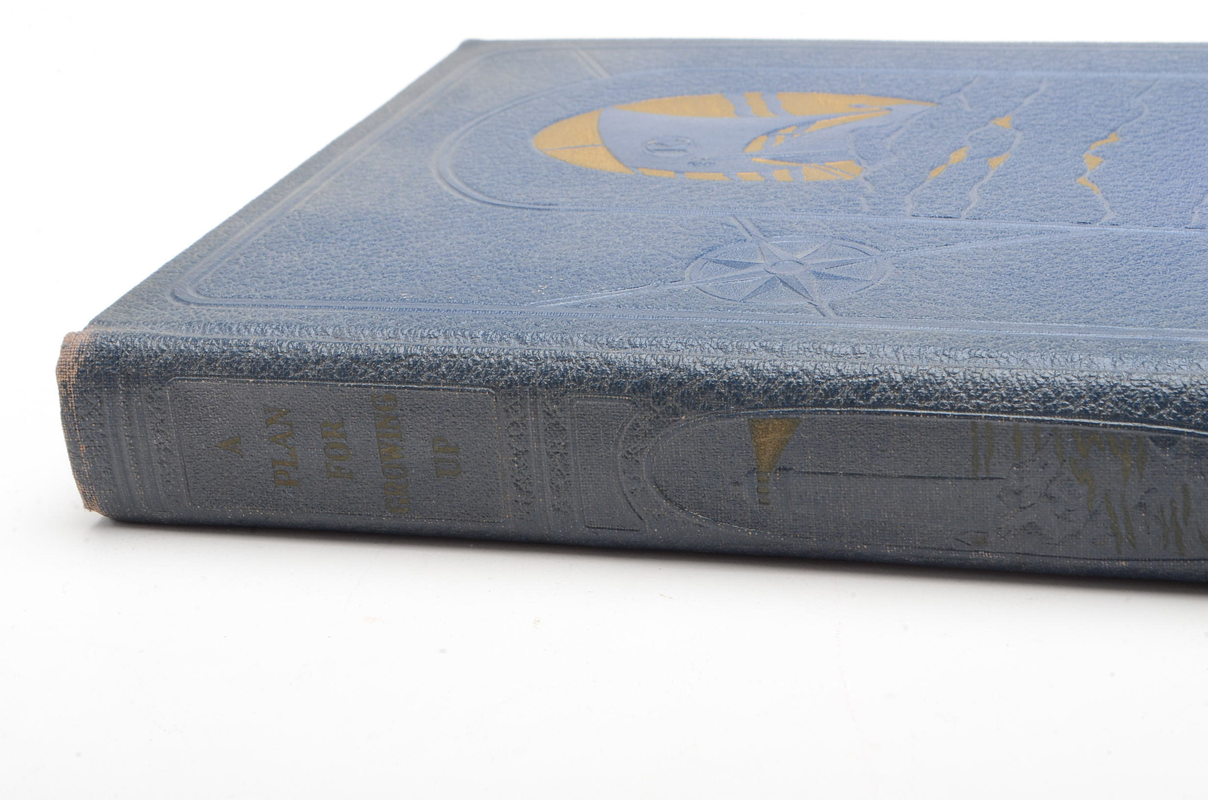 "A Plan For Growing Up" by Marion Quinlan Davis, M.S.