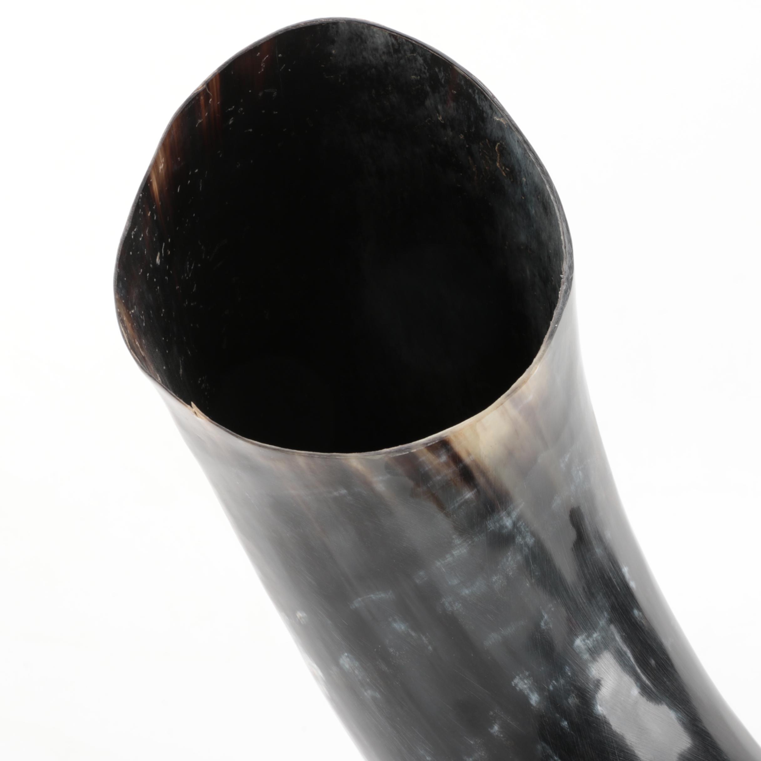 Bovine Horn on Stand