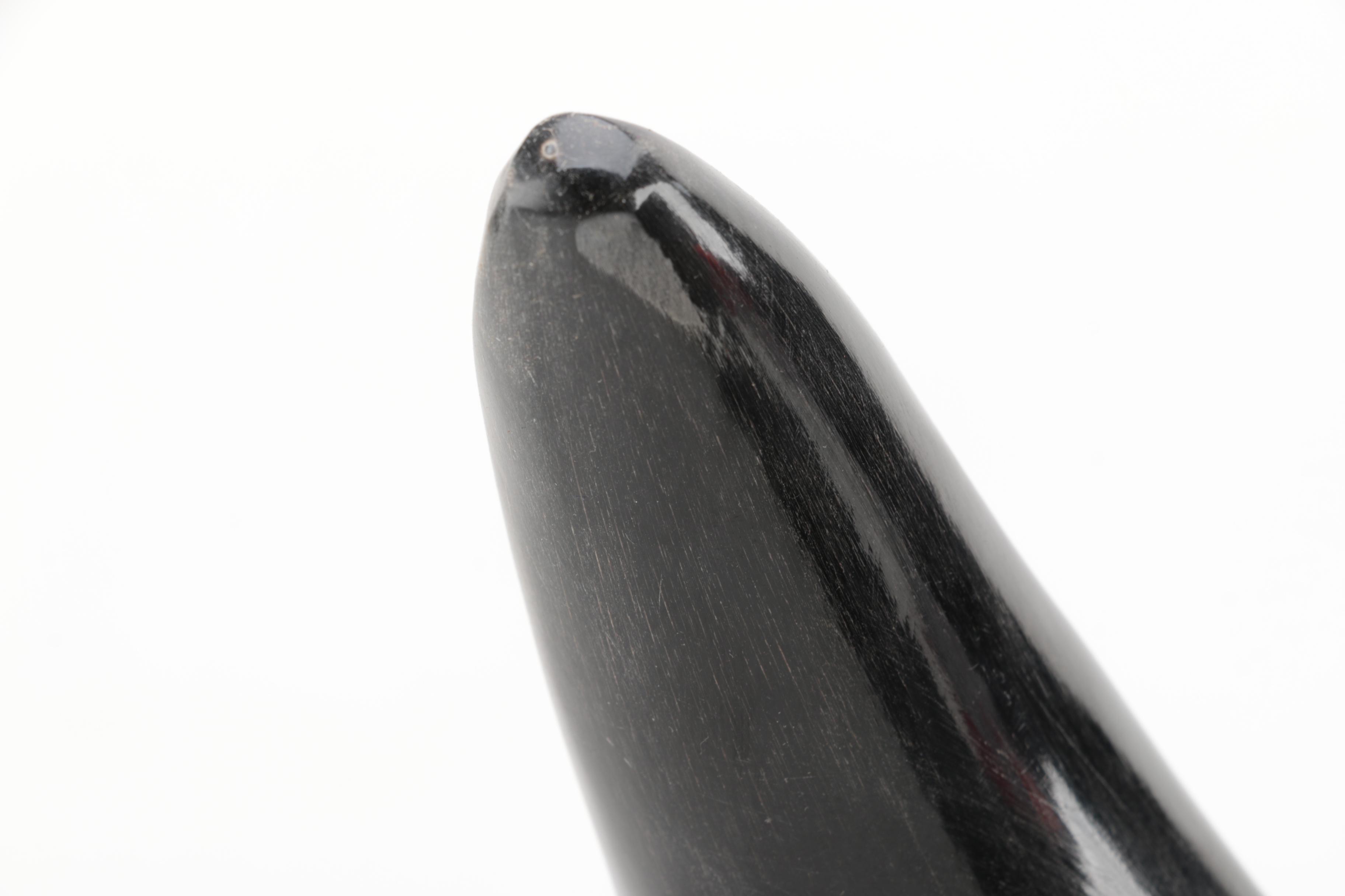 Bovine Horn on Stand