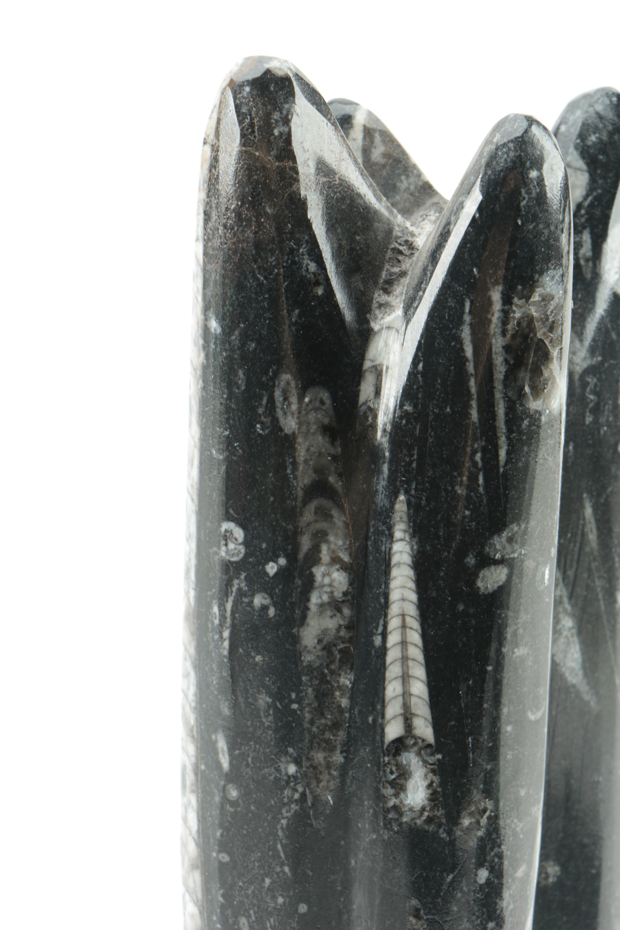 Orthoconic Cephalopod Tower