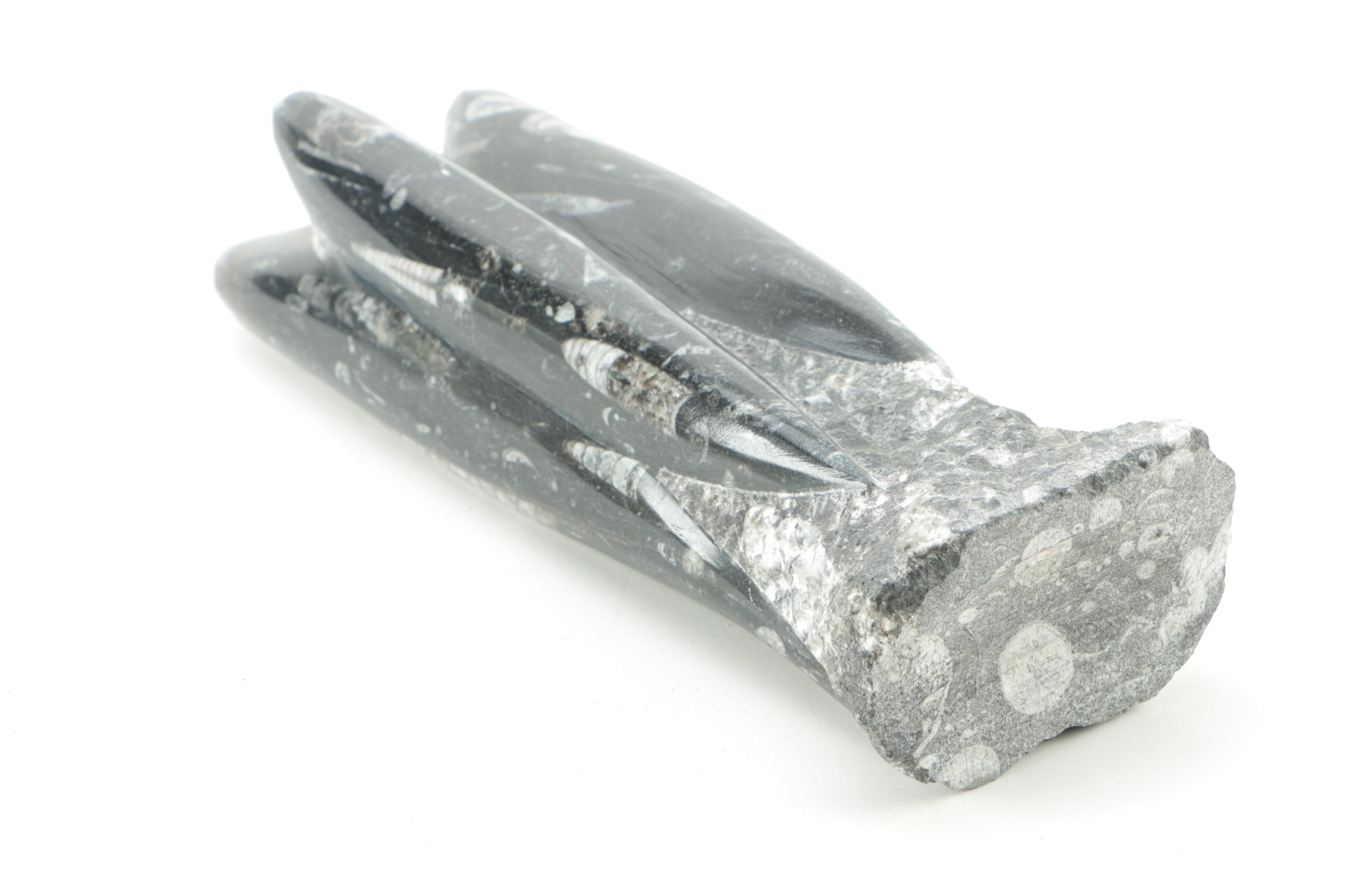 Orthoconic Cephalopod Tower