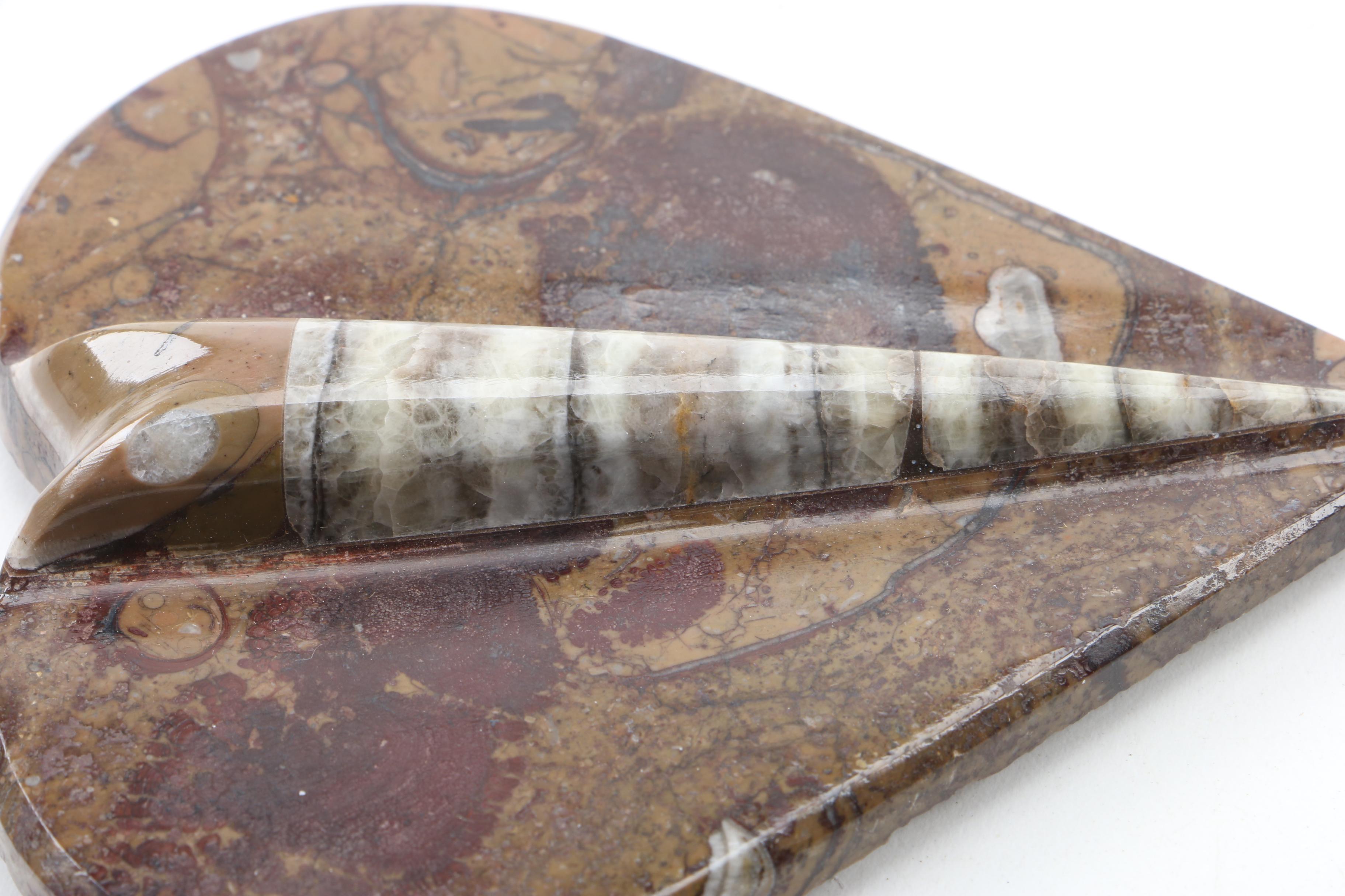 Fossiliferous Limestone Trinket Box