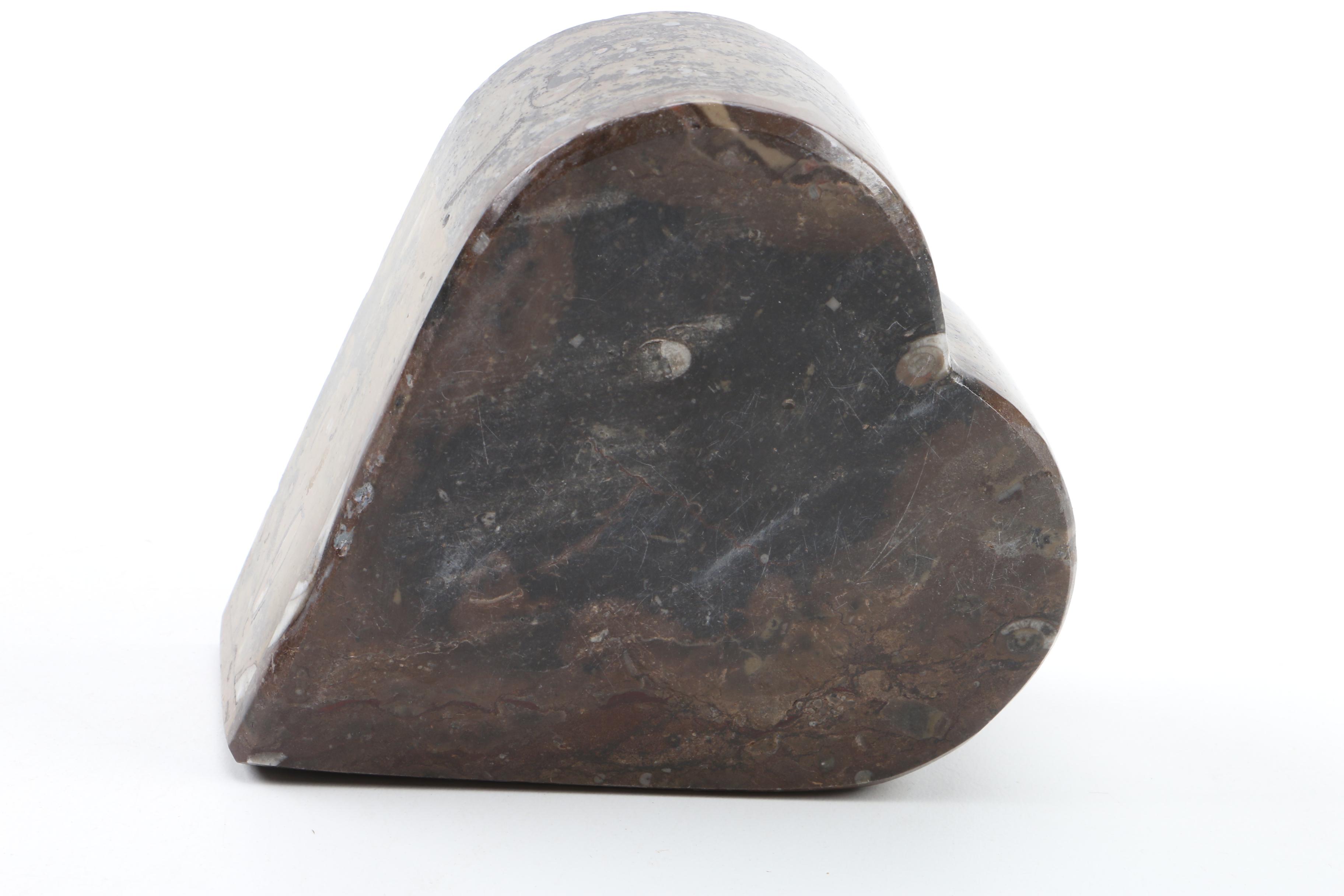 Fossiliferous Limestone Trinket Box