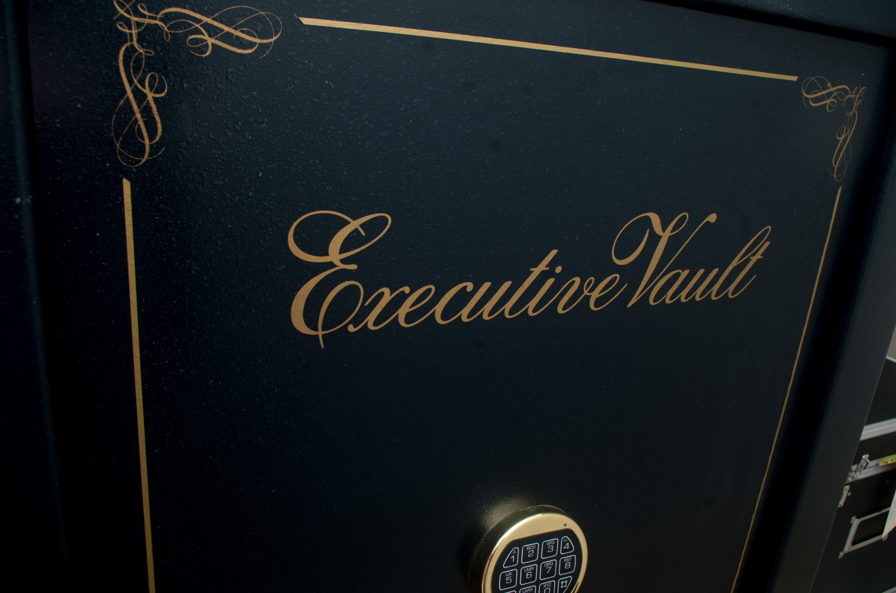 Cannon Executive Vault Gun Safe