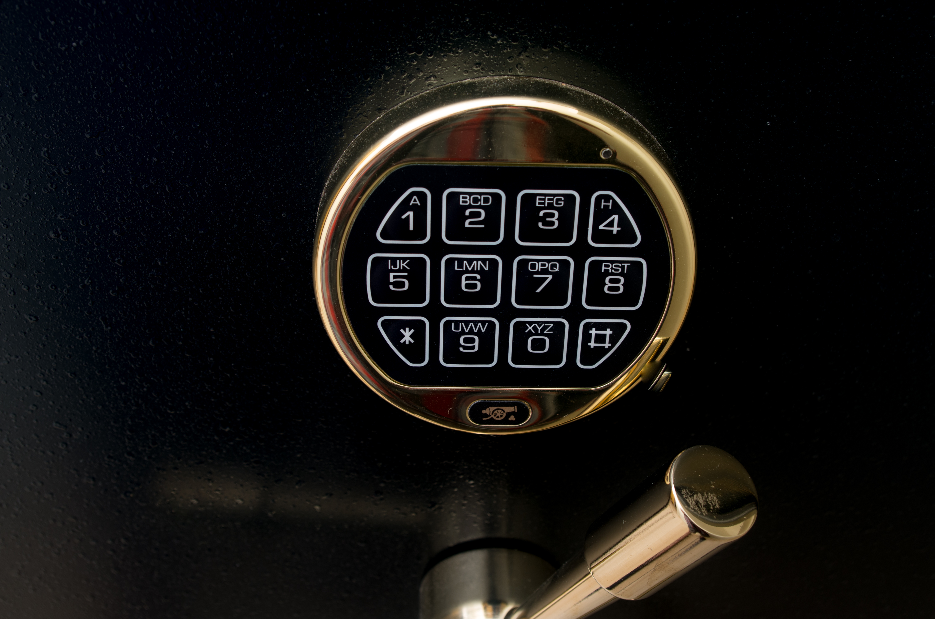 Cannon Executive Vault Gun Safe