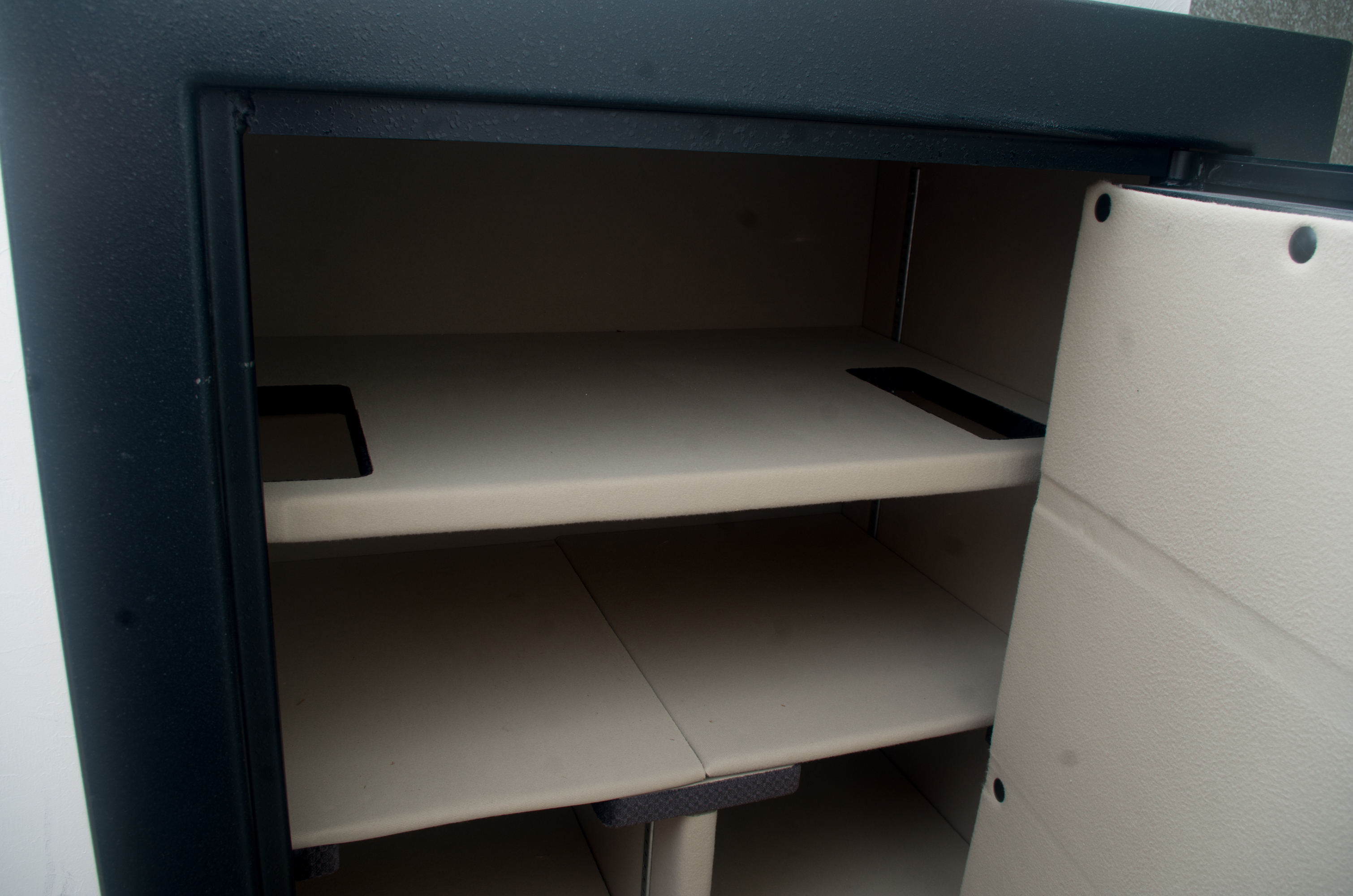 Cannon Executive Vault Gun Safe