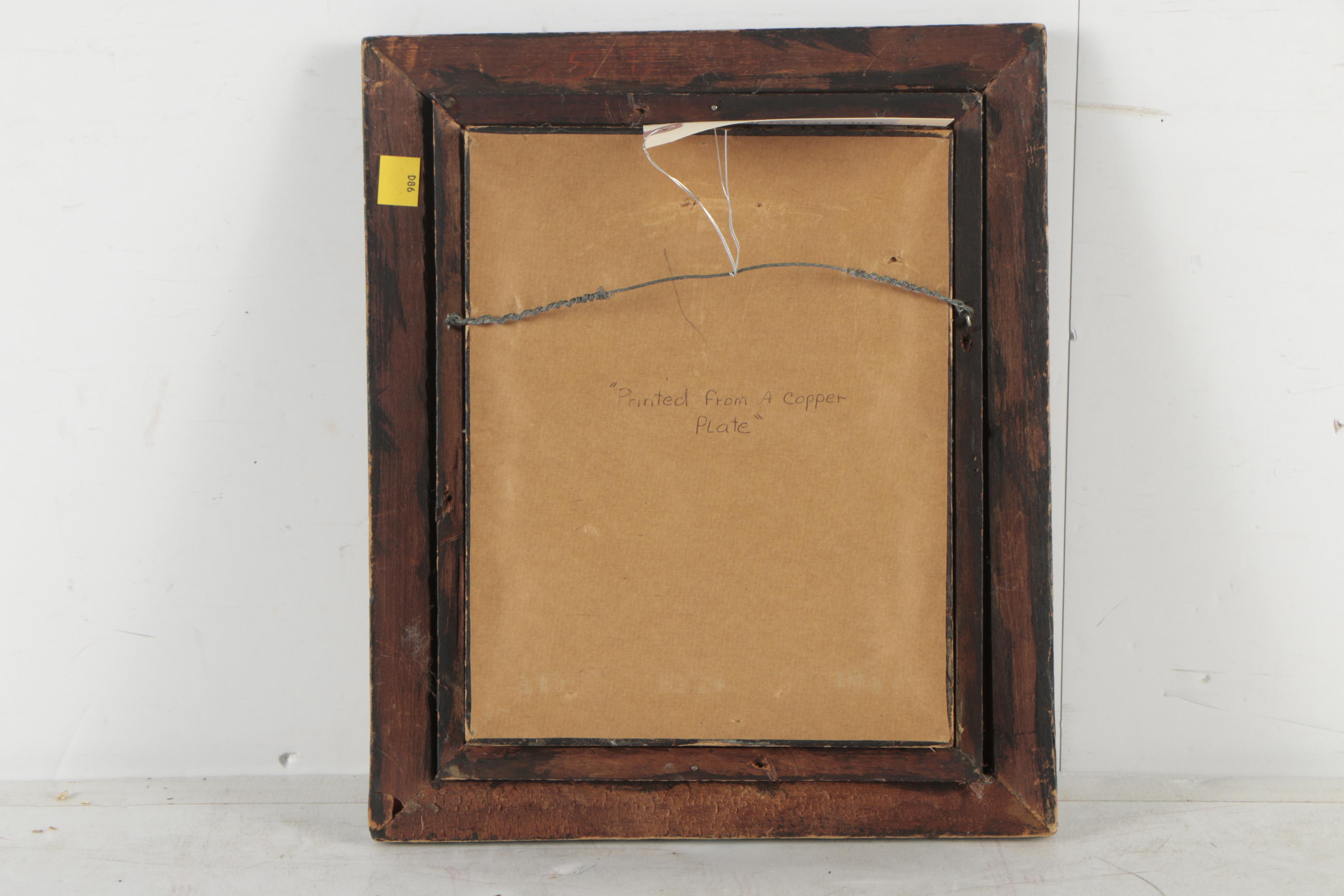 George Shaw and Frederick Nodder Hand-Colored Engraving "Lozenge acarus"