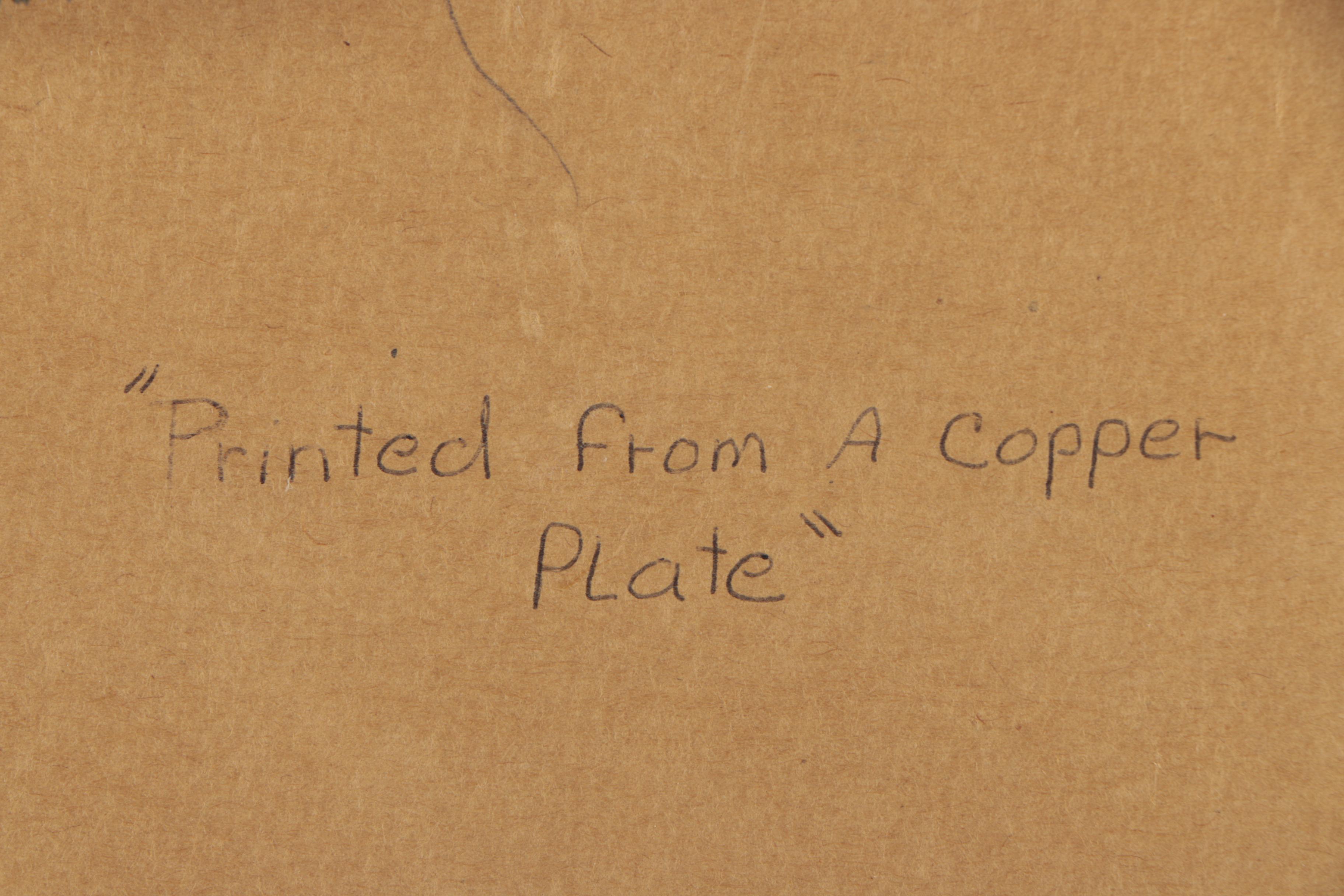 George Shaw and Frederick Nodder Hand-Colored Engraving "Lozenge acarus"