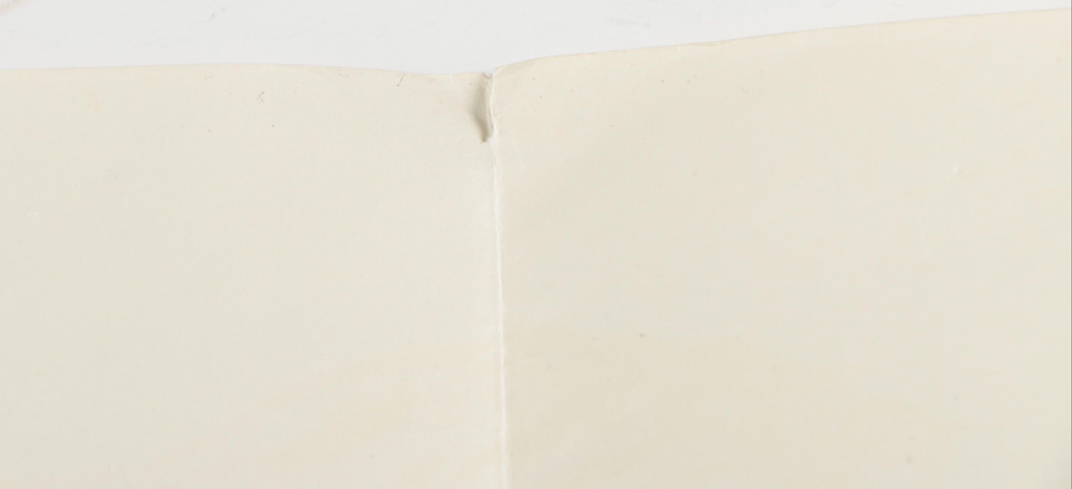 Offset Lithograph Poster of Anatomical Acupuncture Medical Chart