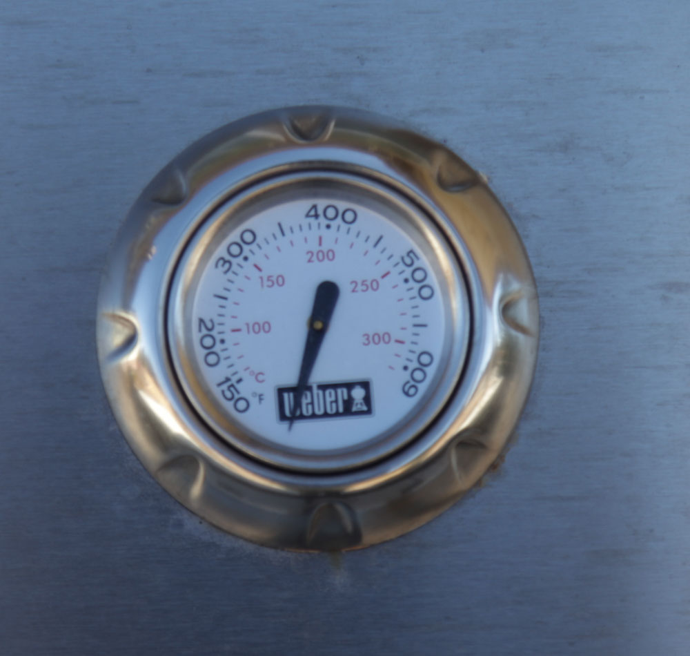 Weber Spirit Propane Grill with Outdoor Cover