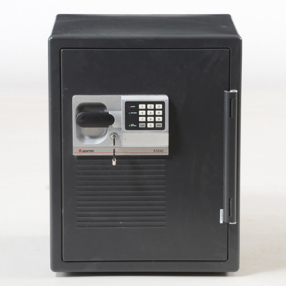 Sentry Personal Fire Safe
