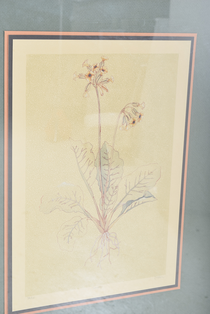 E. DeShon Douglas Limited Edition Etching "Cowslip"