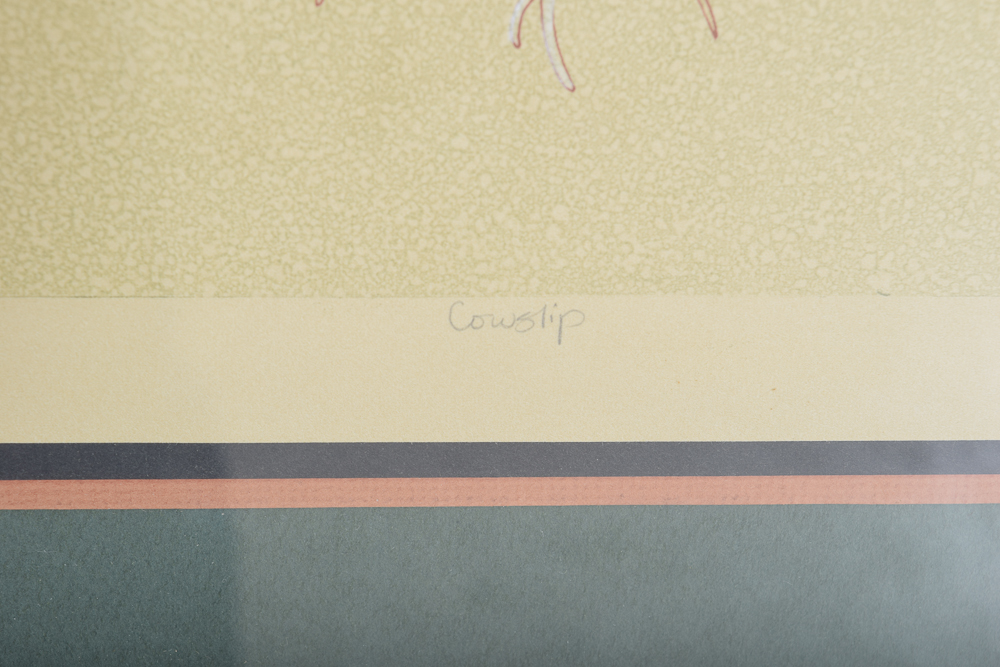 E. DeShon Douglas Limited Edition Etching "Cowslip"