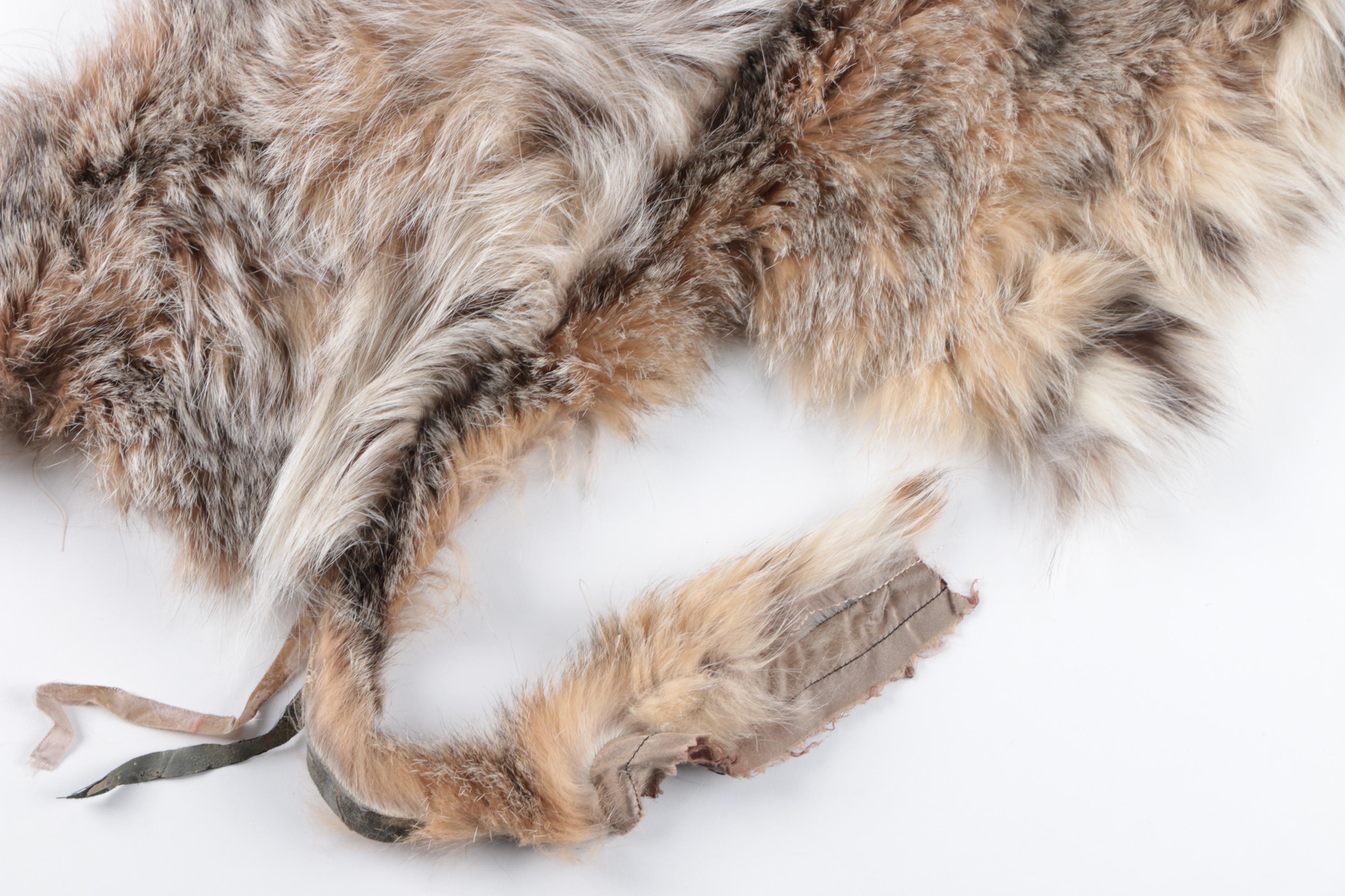 Canadian Lynx Pelt