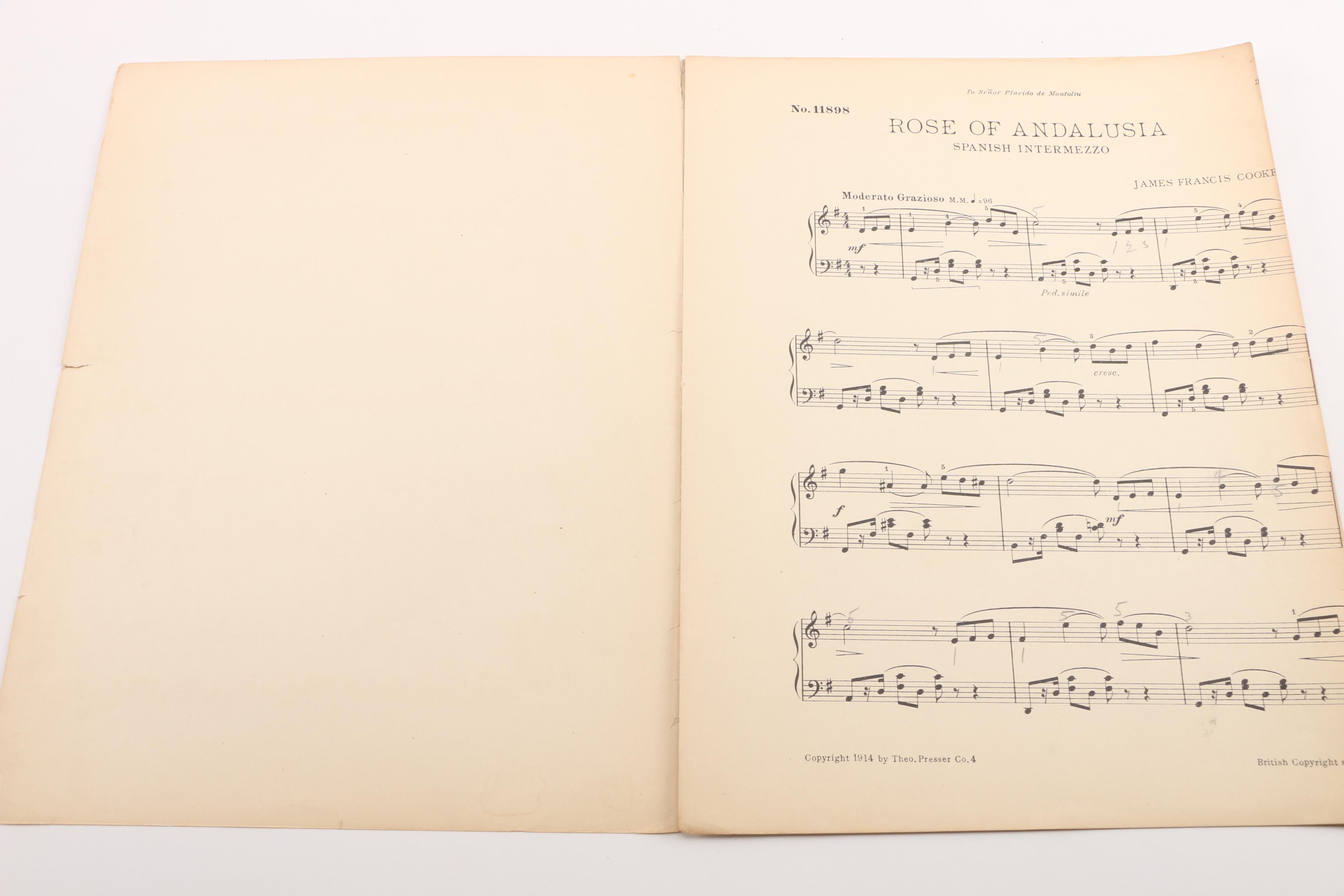 Vintage Piano, Organ, and Vocal Sheet Music Books