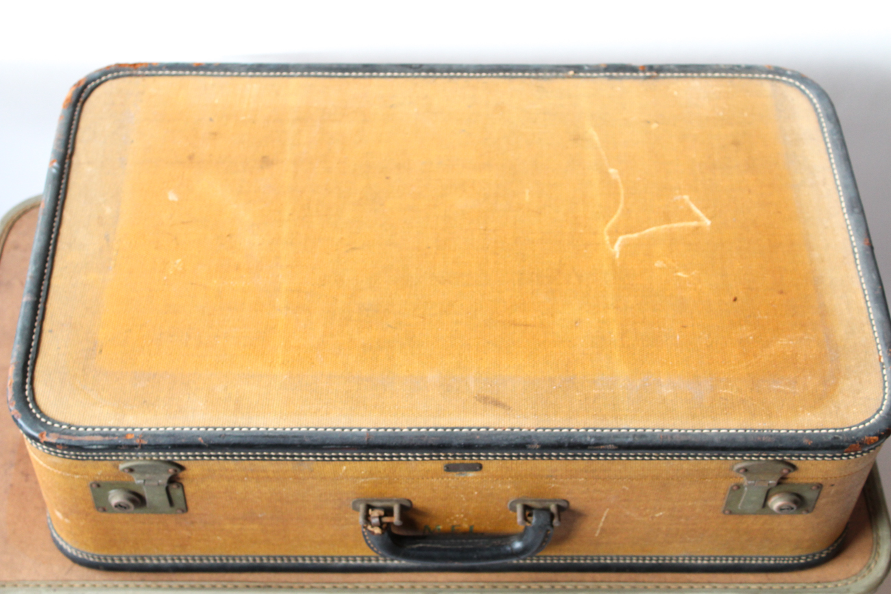 Vintage Luggage Collection