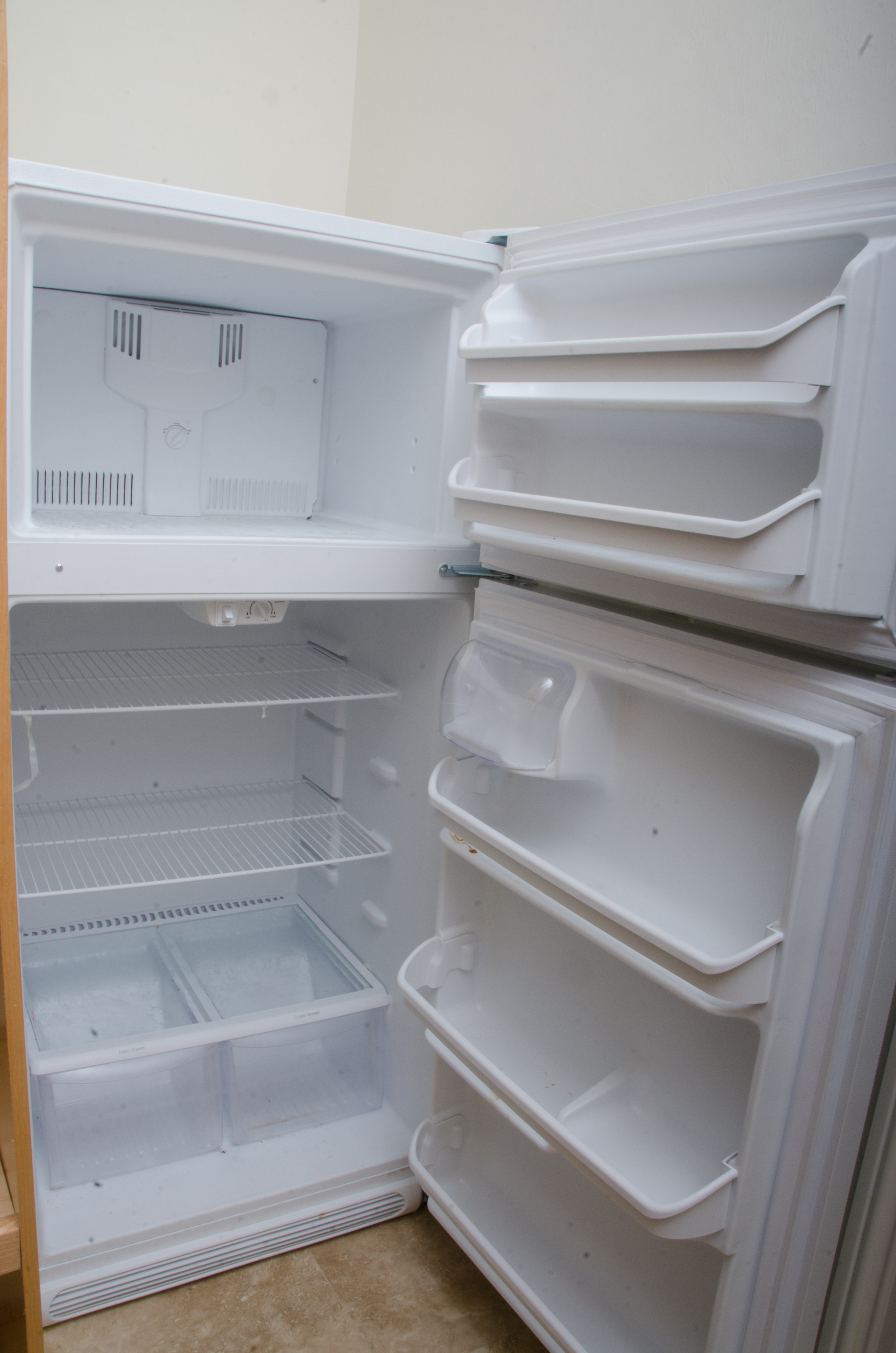 Frigidaire Fridge and Freezer