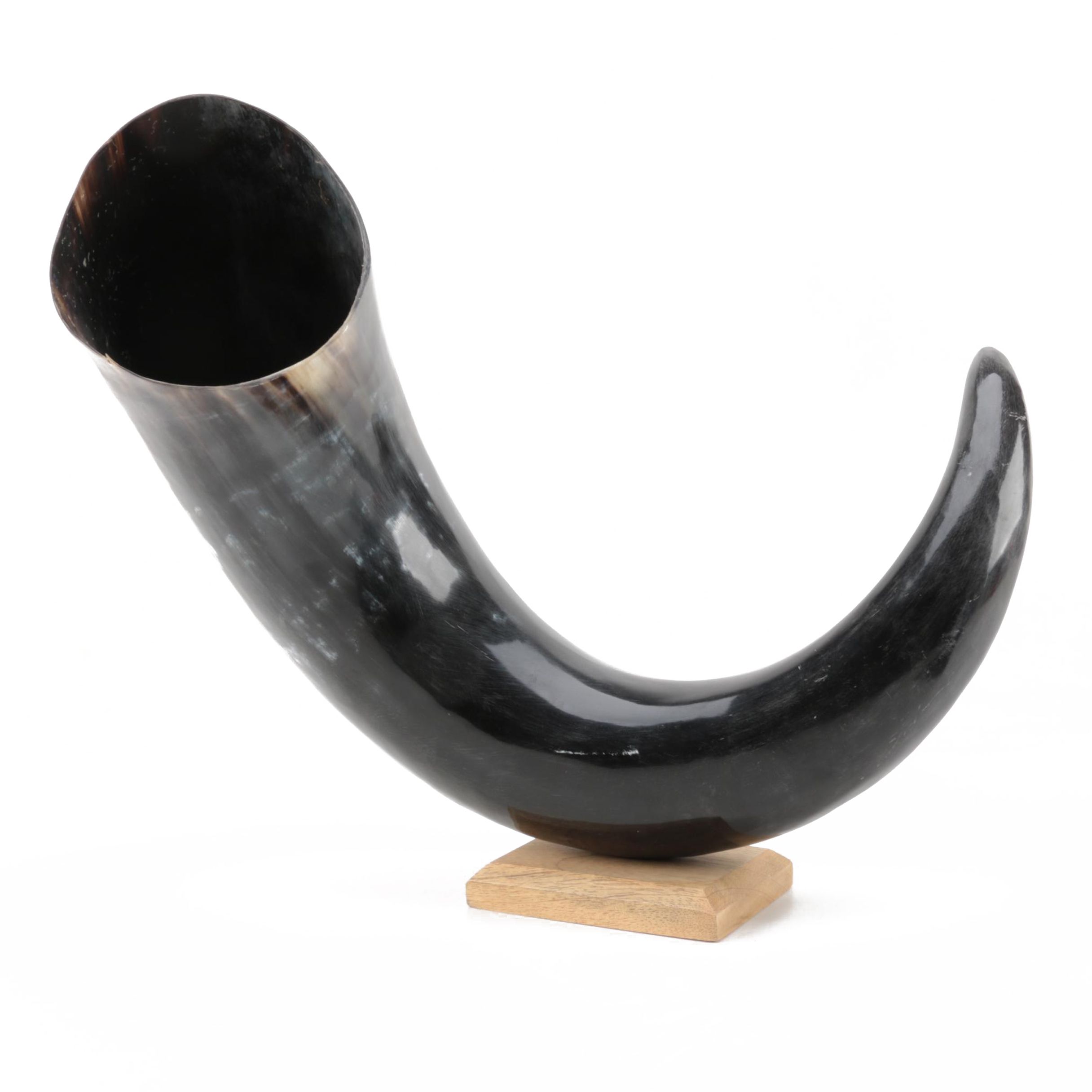 Bovine Horn on Stand