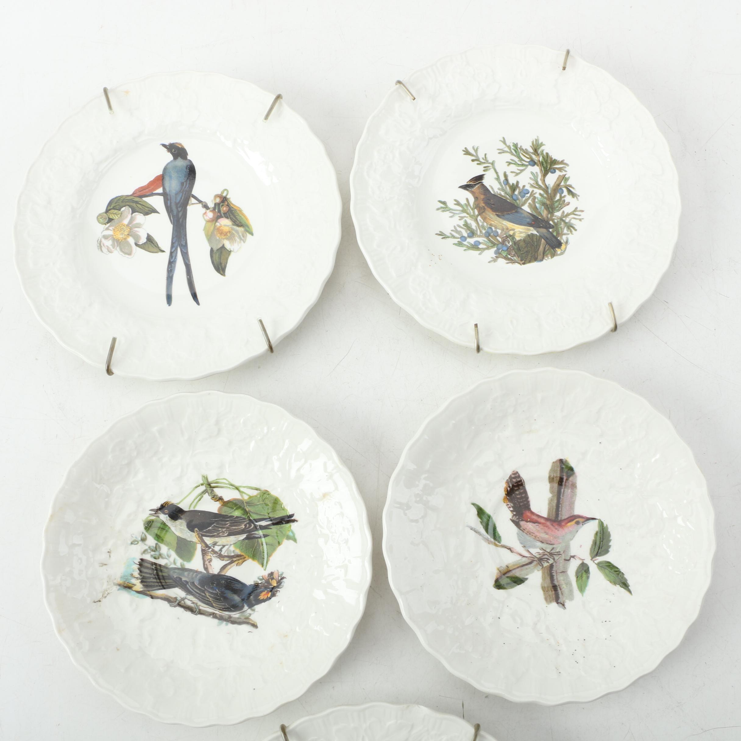 Alfred Meakin "Audubon's Bird of America" Plate Collection