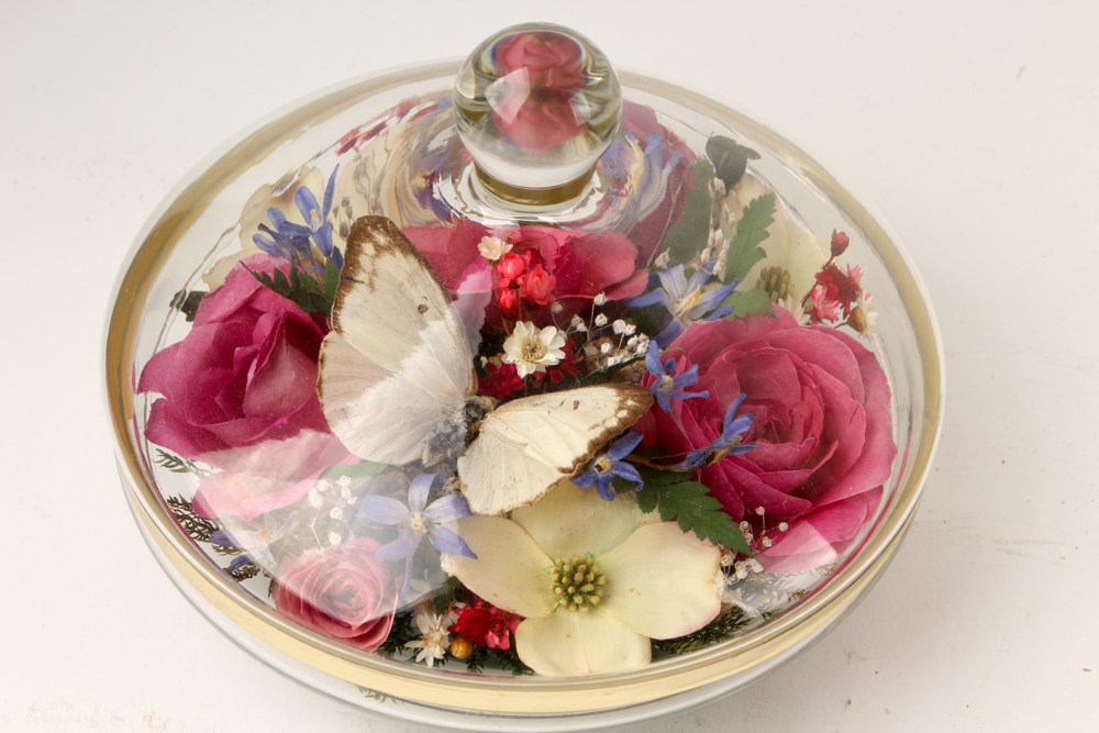 Beatrix Potter "Benjamin Ate a Lettuce Leaf" Ceramic Figurine and More