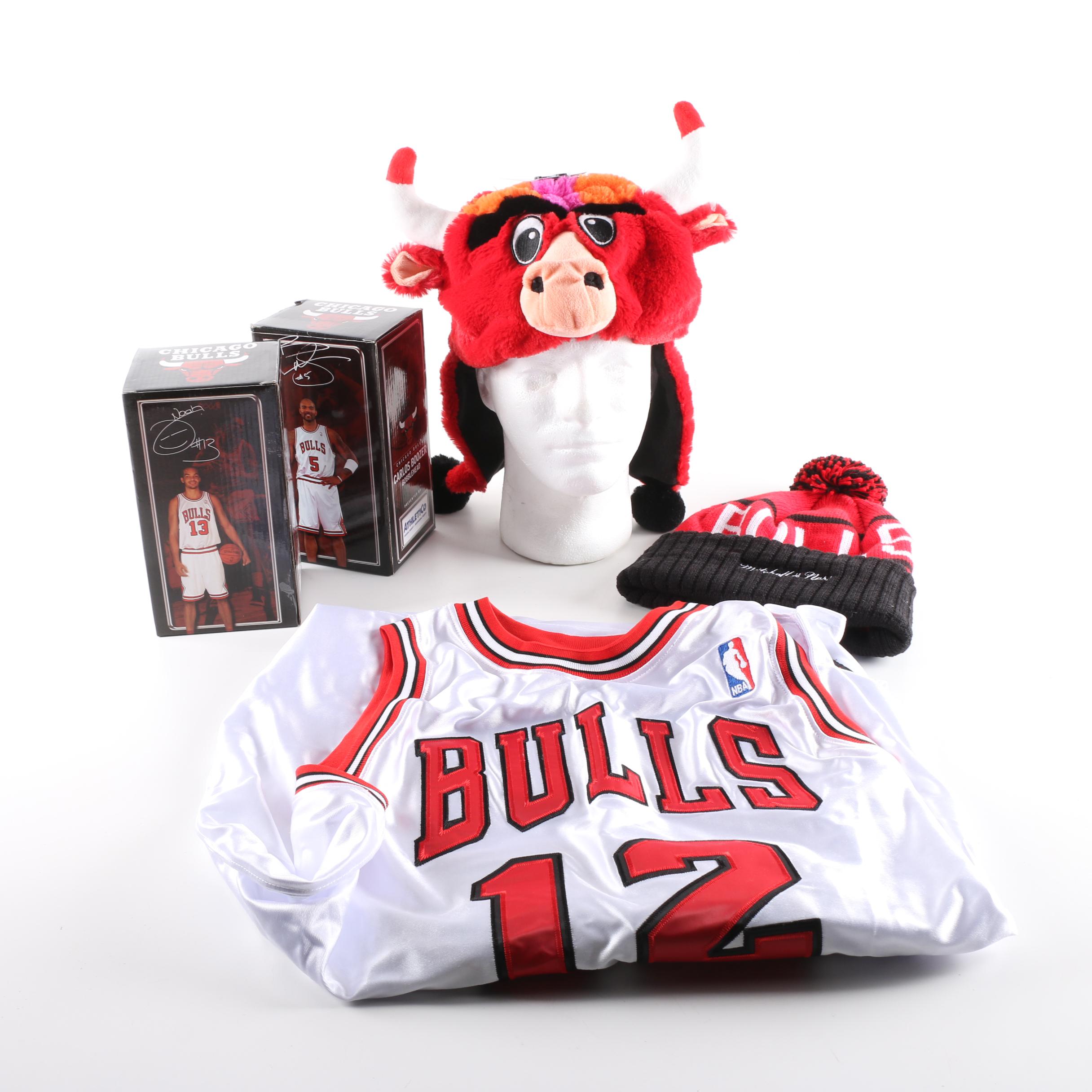 Chicago Bulls Memorabilia