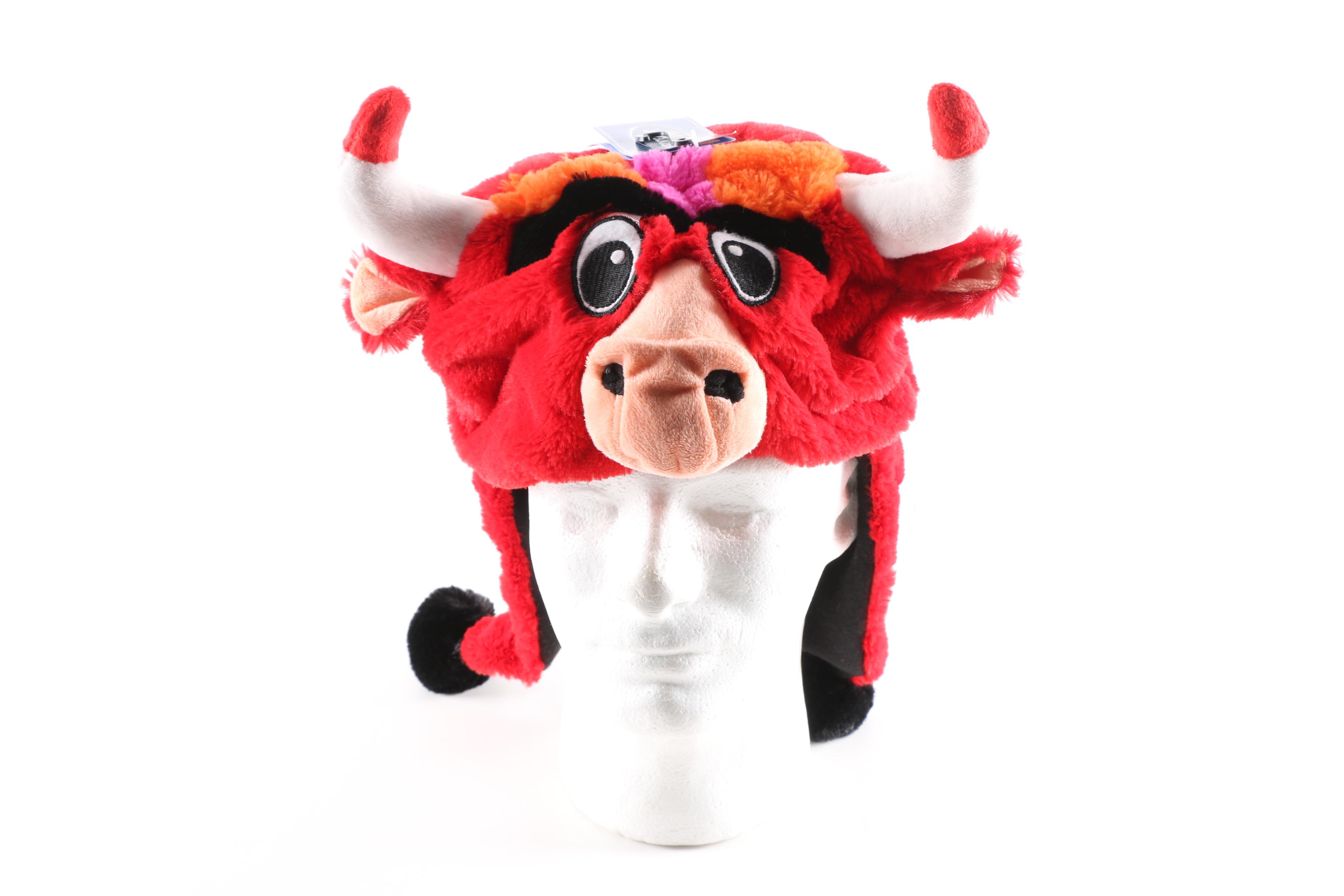 Chicago Bulls Memorabilia