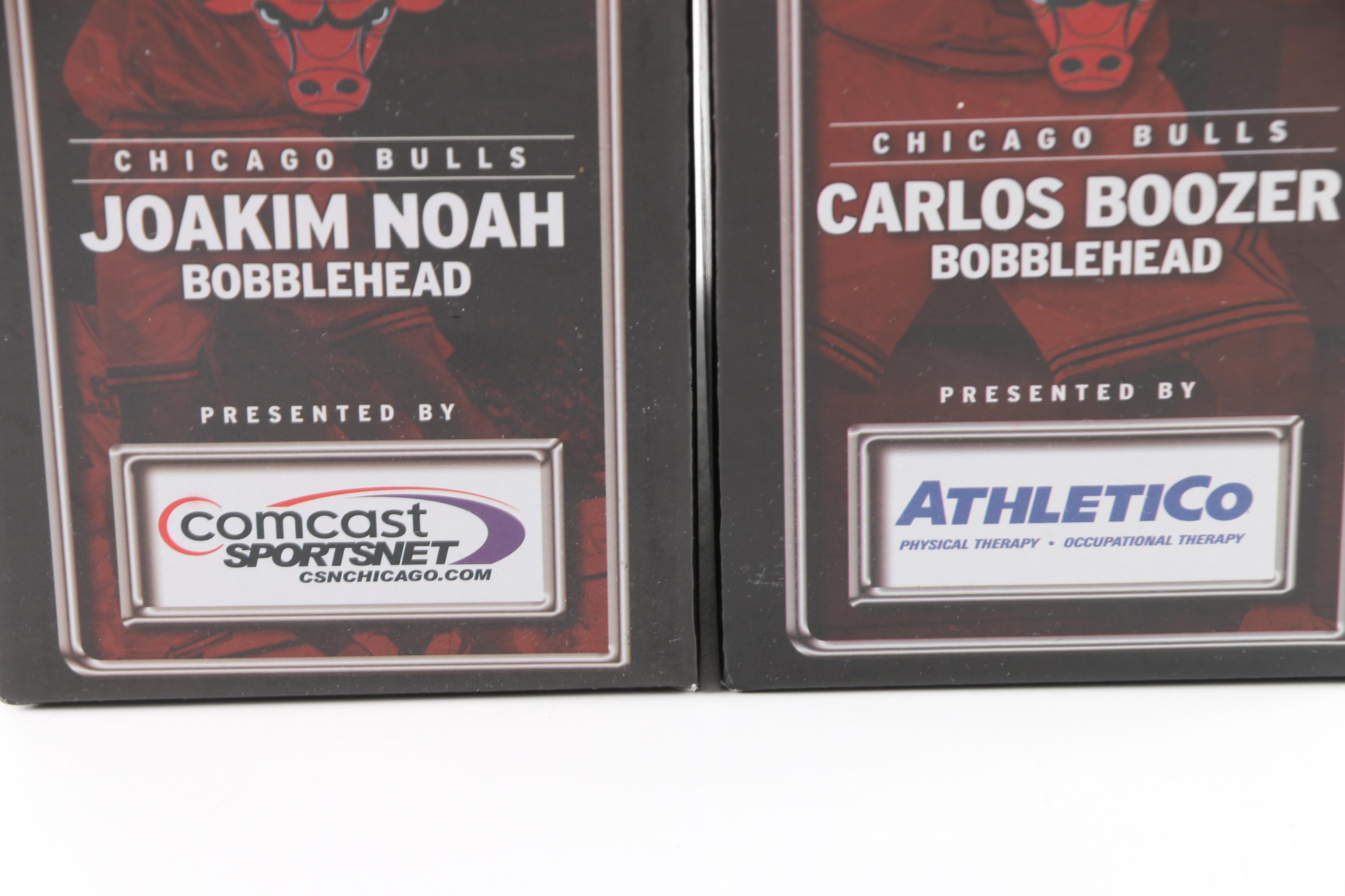 Chicago Bulls Memorabilia