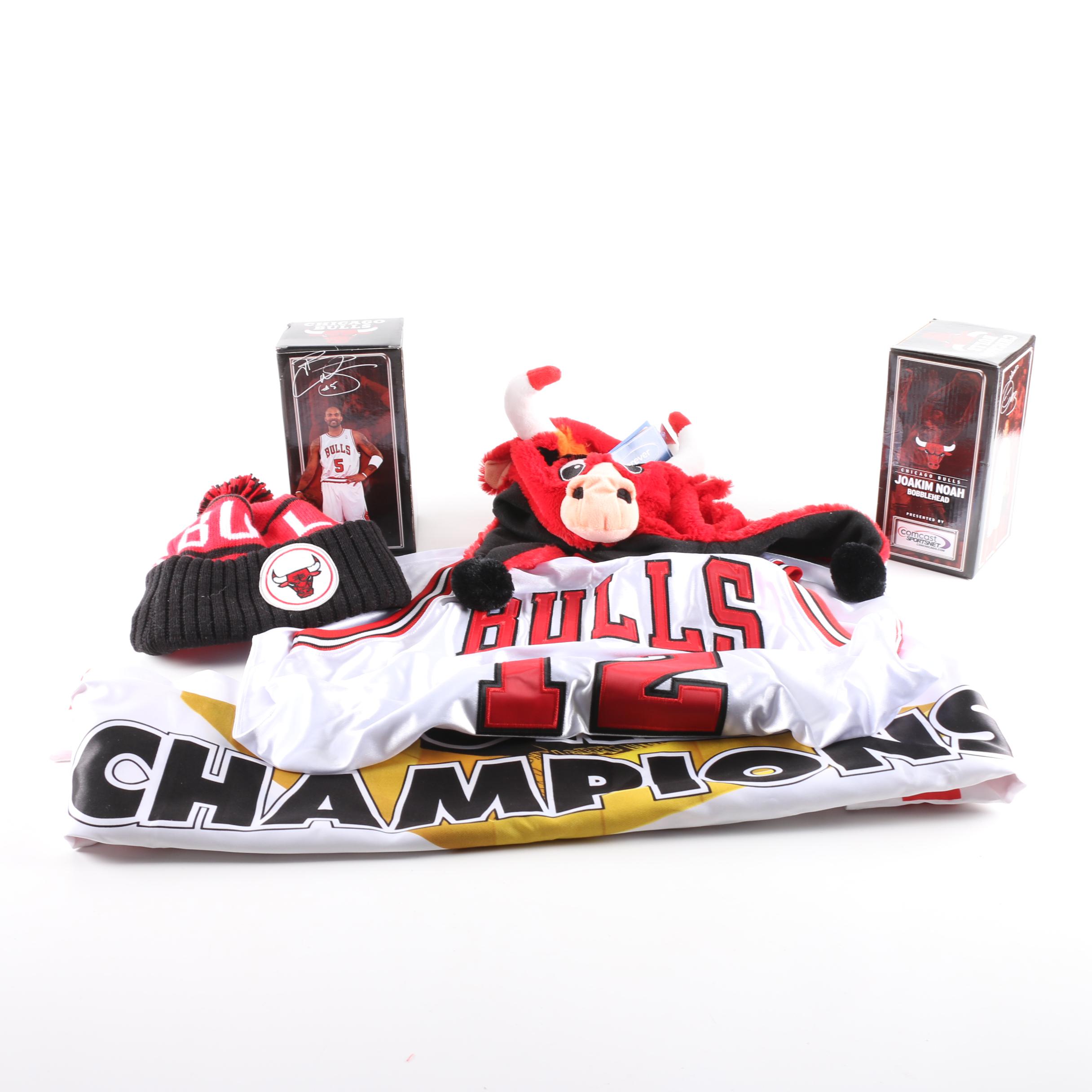 Chicago Bulls Memorabilia