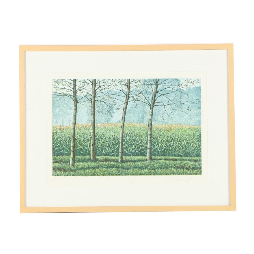 Oliviero Masi Limited Edition Color Etching "Birches and Cornfields"