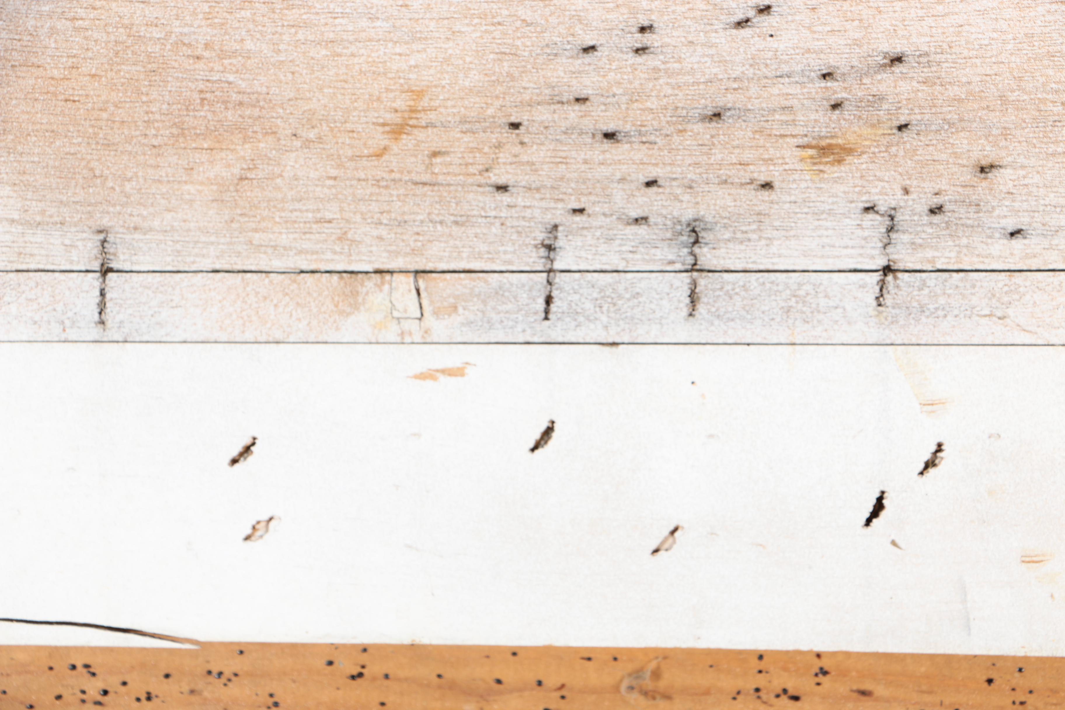 Wood Demilune Sunburst Window Pediment