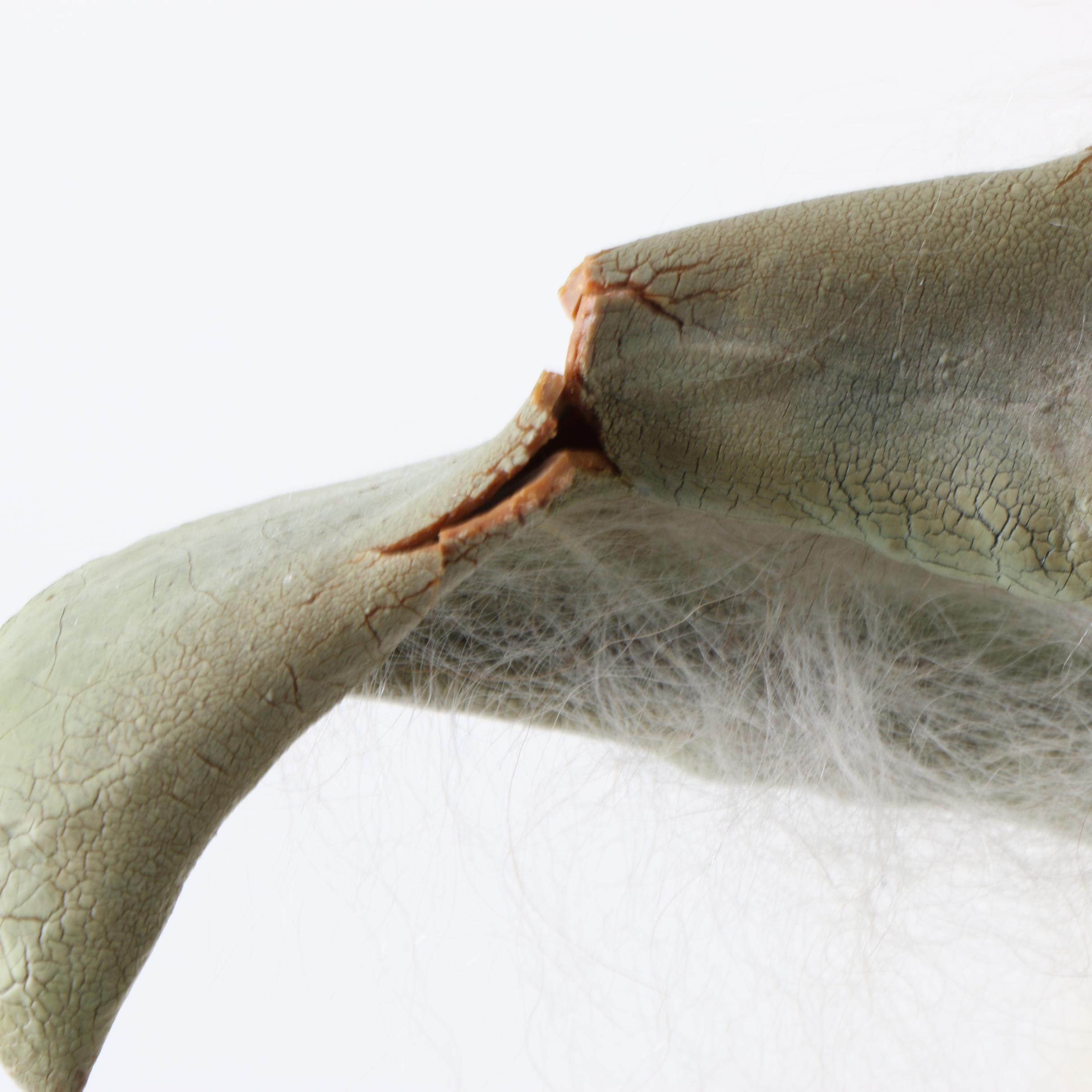 1994 Illusive Concepts "Yoda" Prop Sculpture by Mario Chiodo