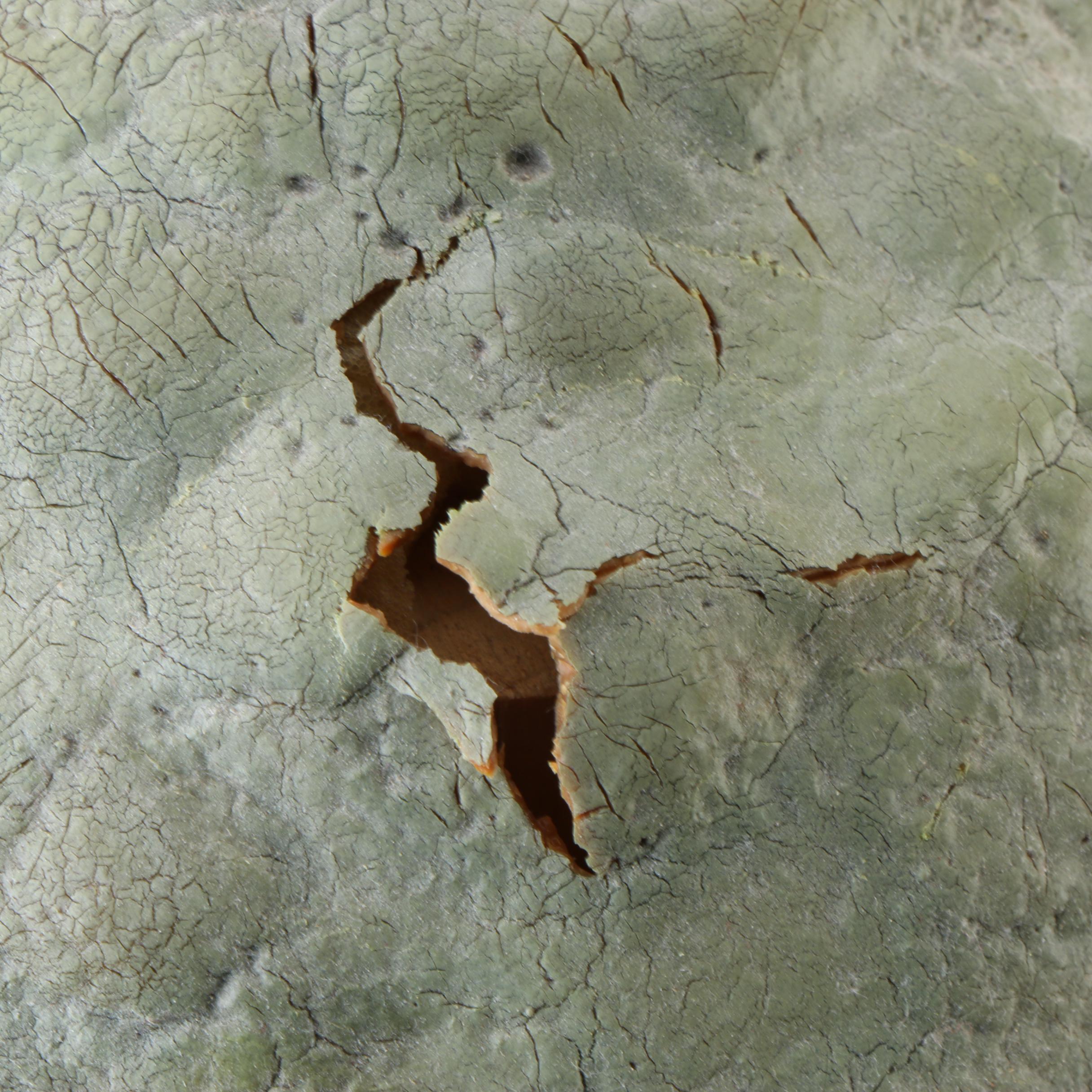 1994 Illusive Concepts "Yoda" Prop Sculpture by Mario Chiodo