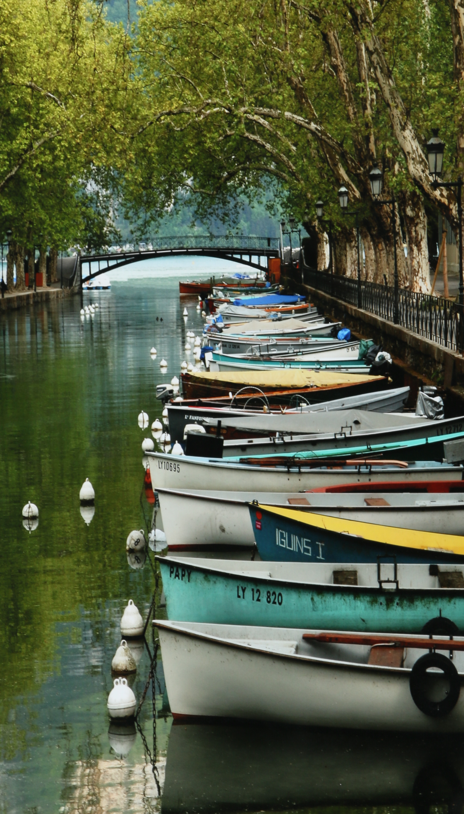 Dan Albright Boat Giclée with Mirror in a Wood Frame