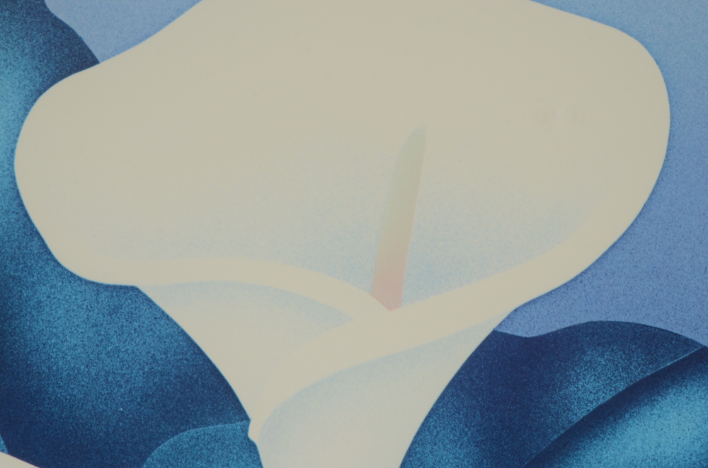 William Todd Haile Signed Botanical Prints