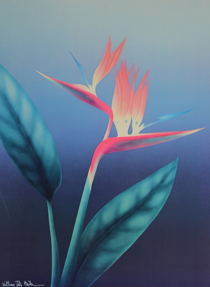 William Todd Haile Signed Botanical Prints